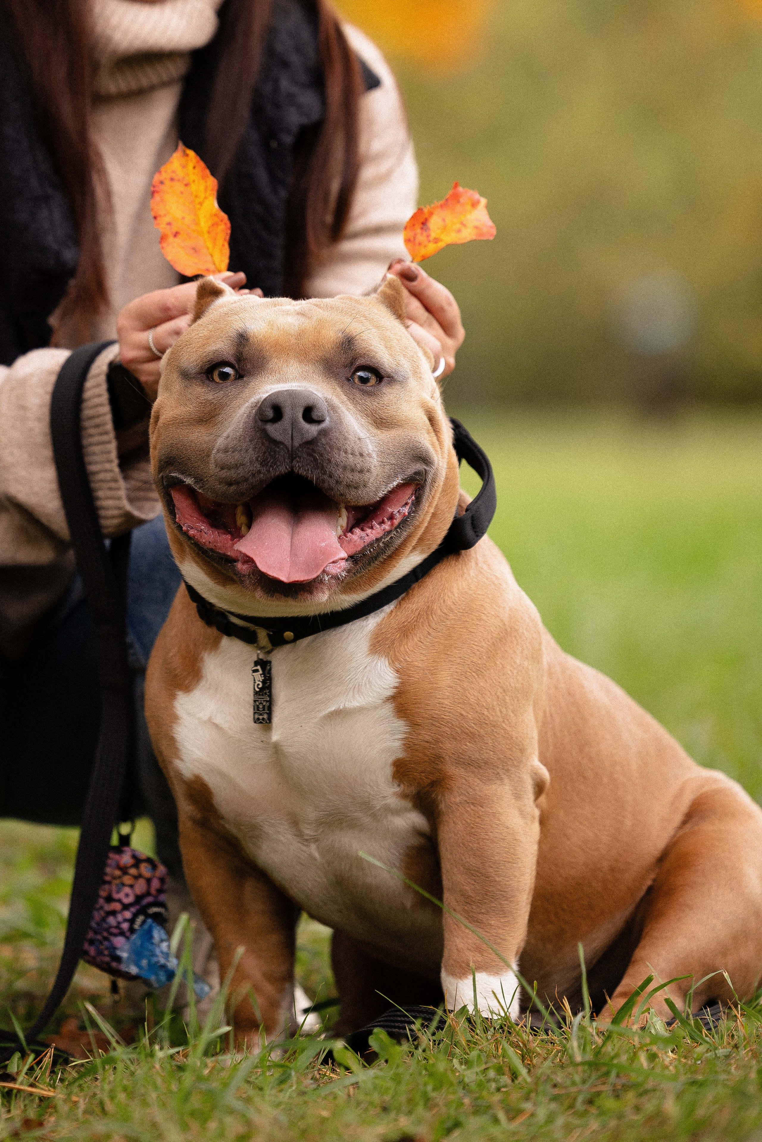 Алена и Тор. Фотограф и видеограф анималист Аганина Дарья