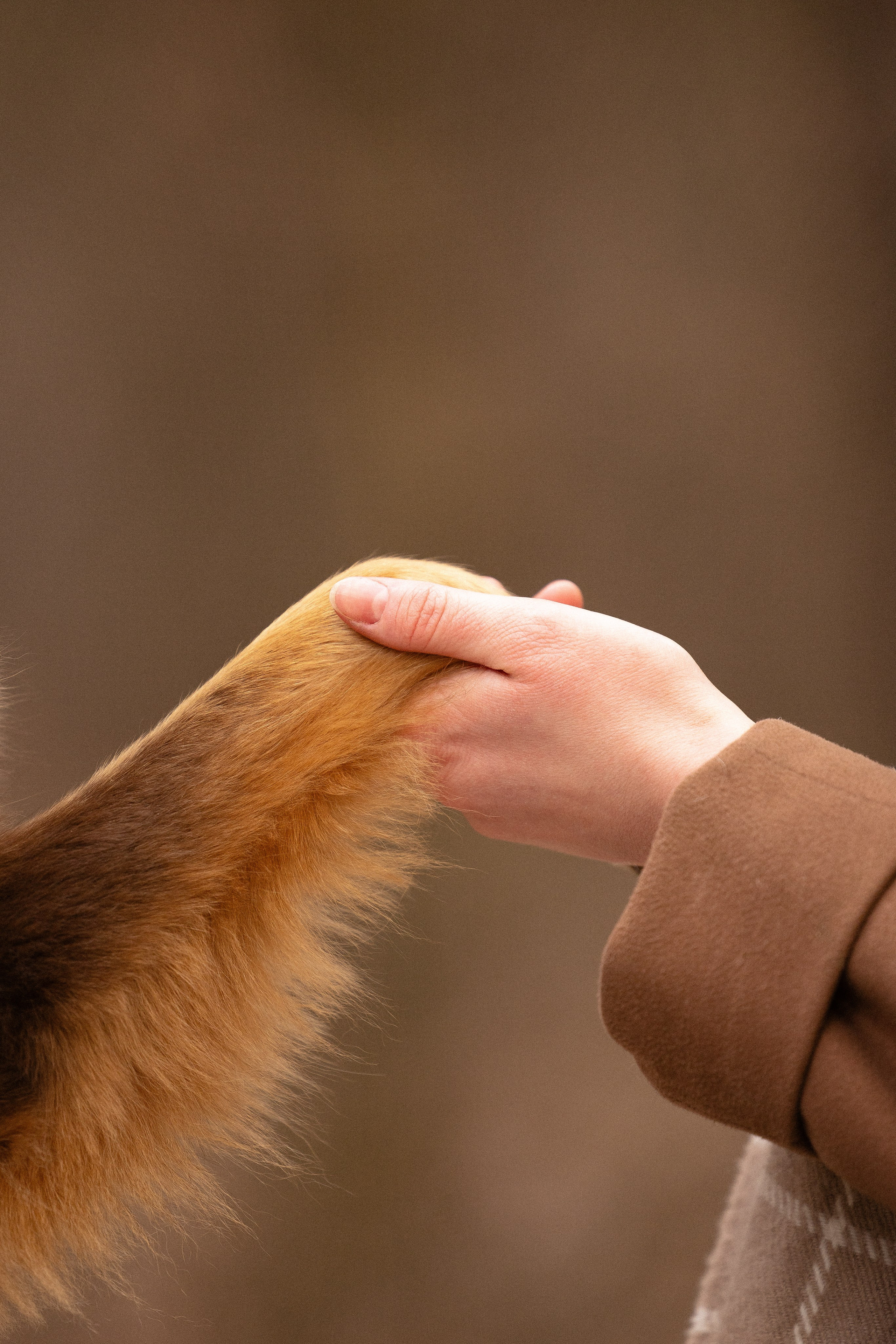 Катя и Мёд. Фотограф и видеограф анималист Аганина Дарья