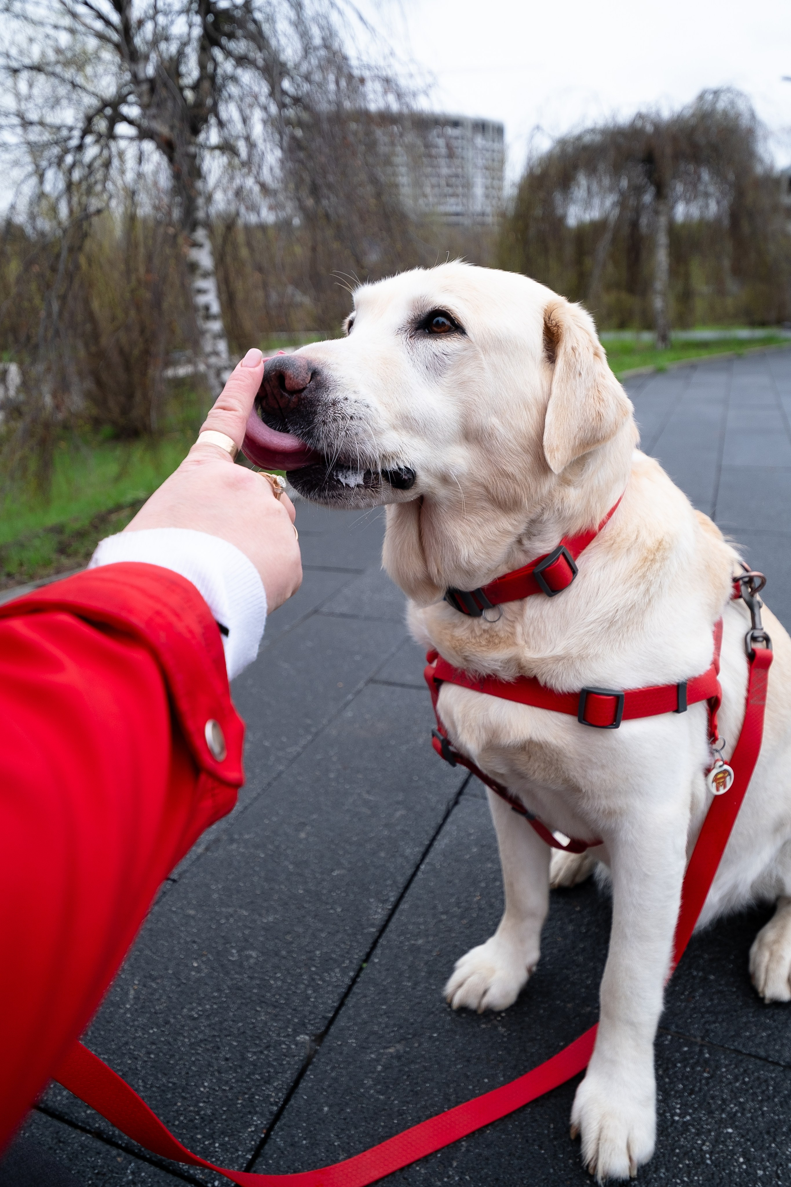 Света и Лето. Фотограф и видеограф анималист Аганина Дарья