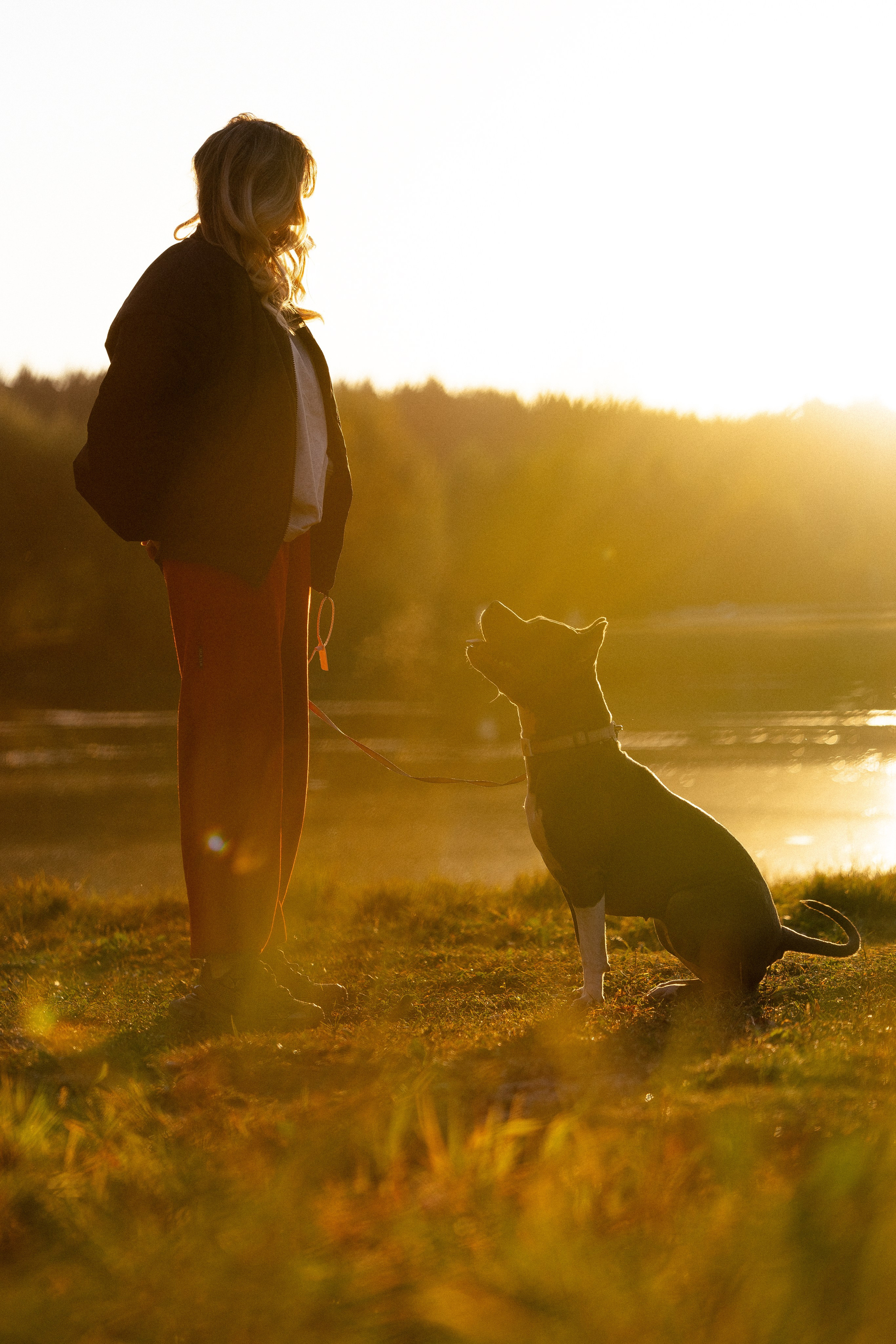Катя, Леша, Лея и Трой. Фотограф и видеограф анималист Аганина Дарья