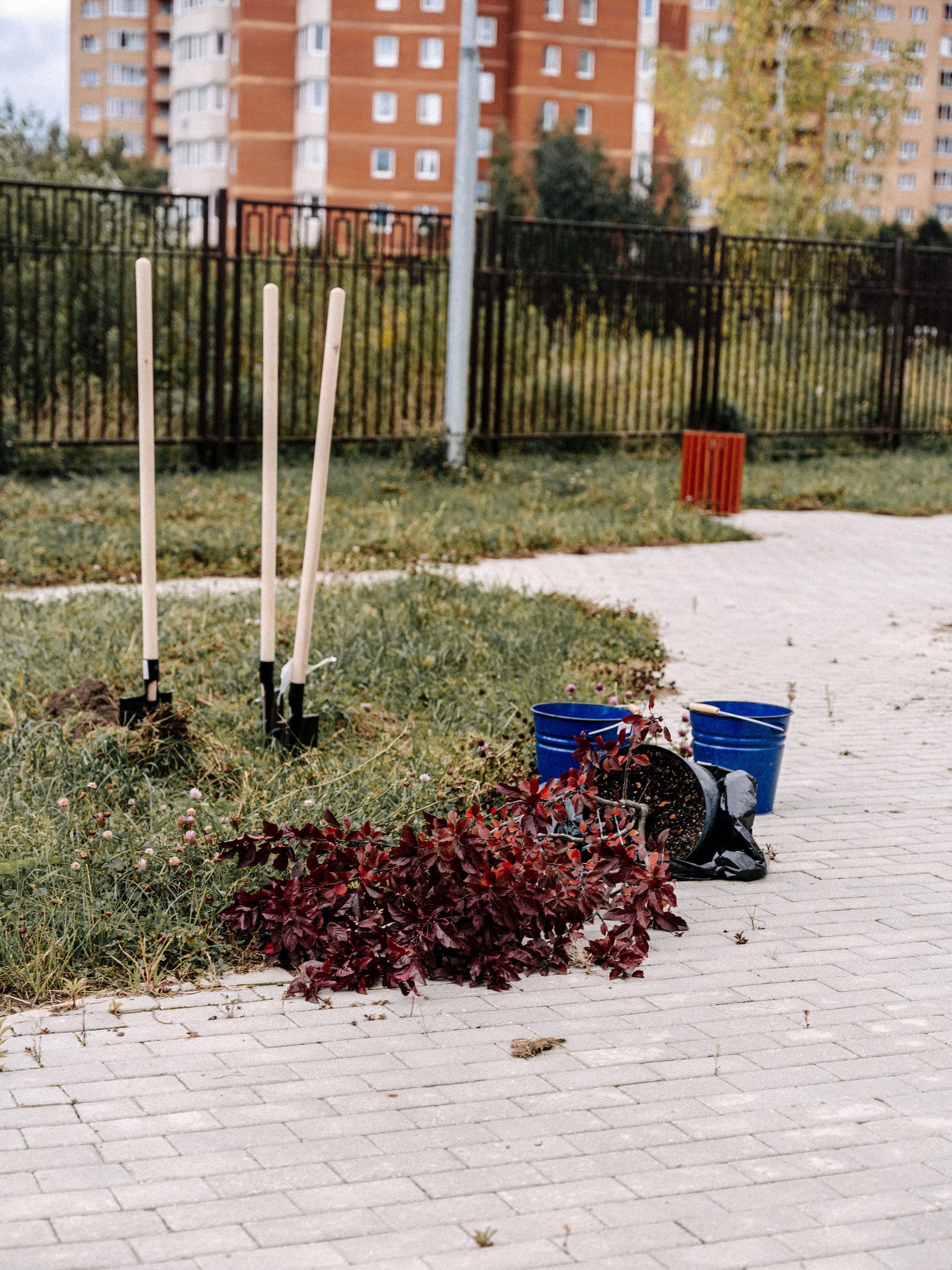 1 сентября. Фотограф Рина Пешкова