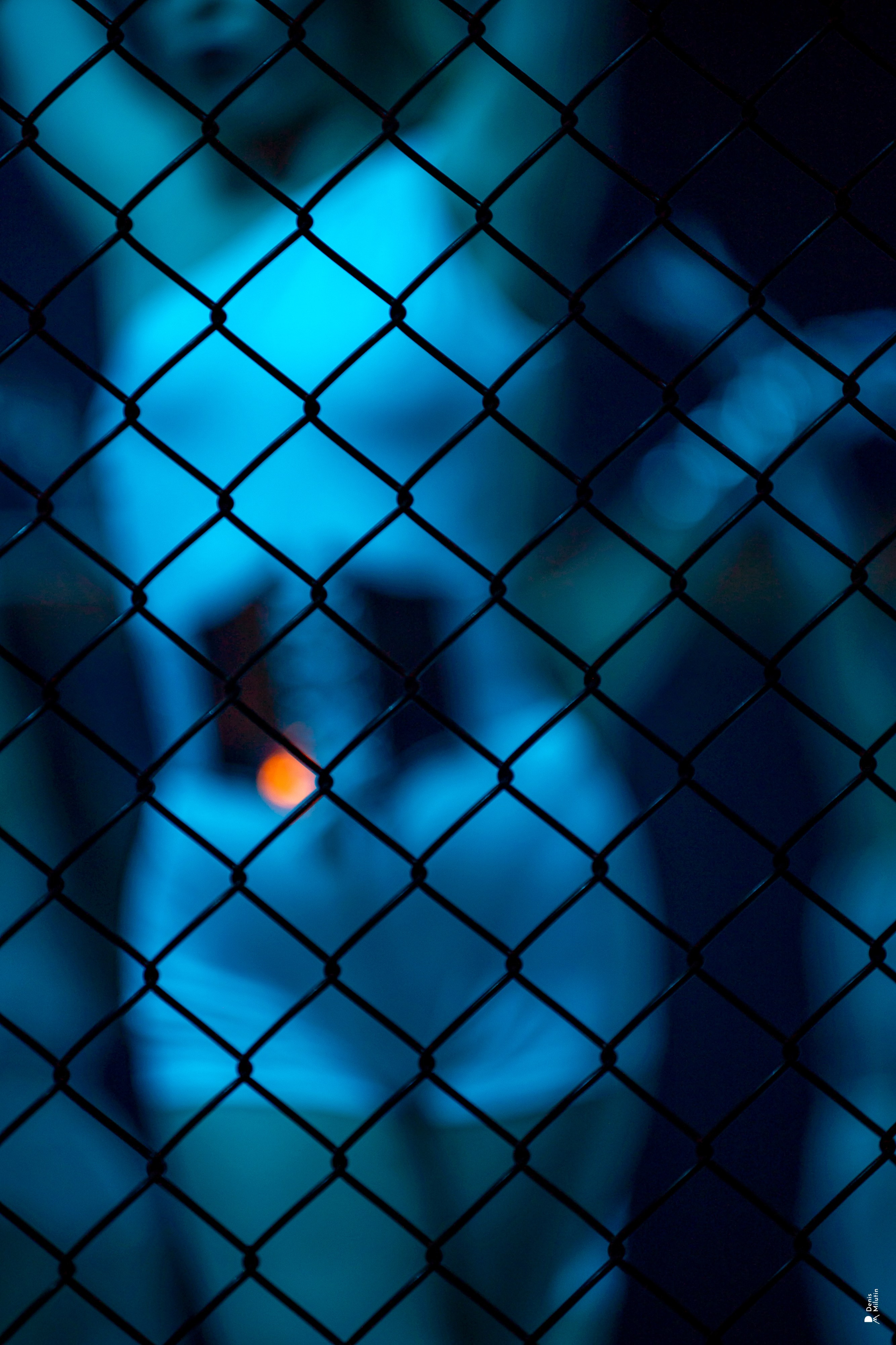 Бои в клетке «Северный Воин». Портретный фотограф Денис Милютин