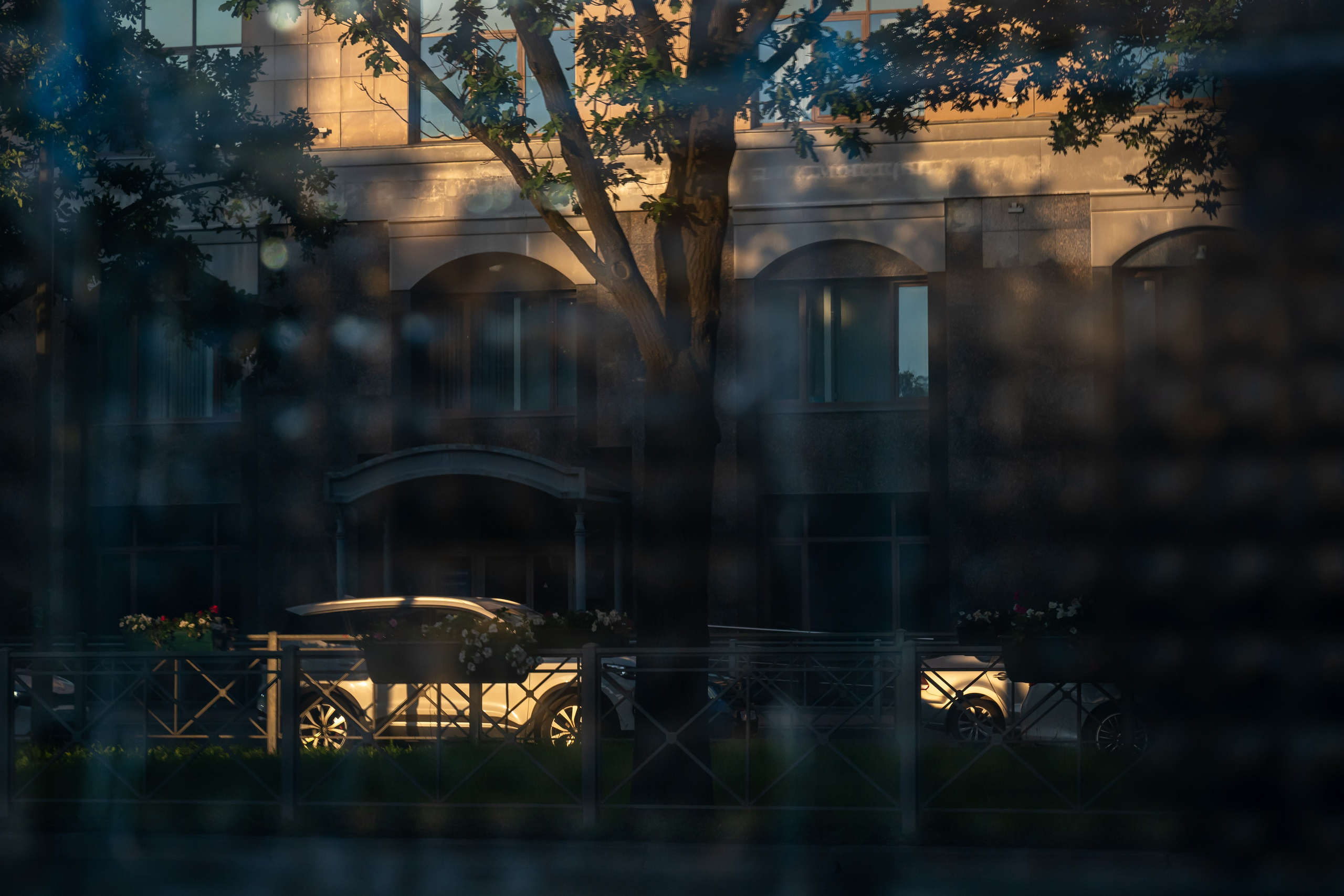 Light. Dimitri Bakhtadze photographer