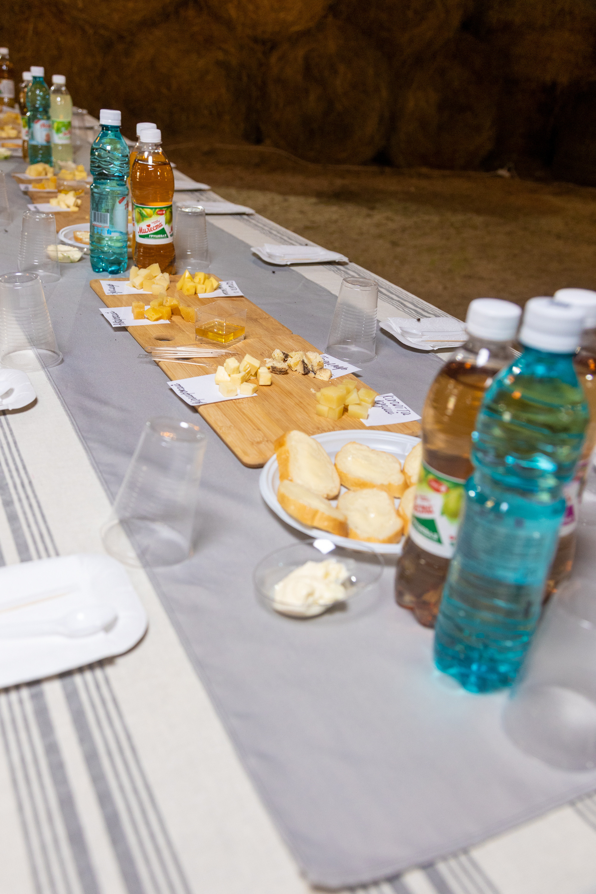 Ферма Лобановых. Фотограф Князев Сергей