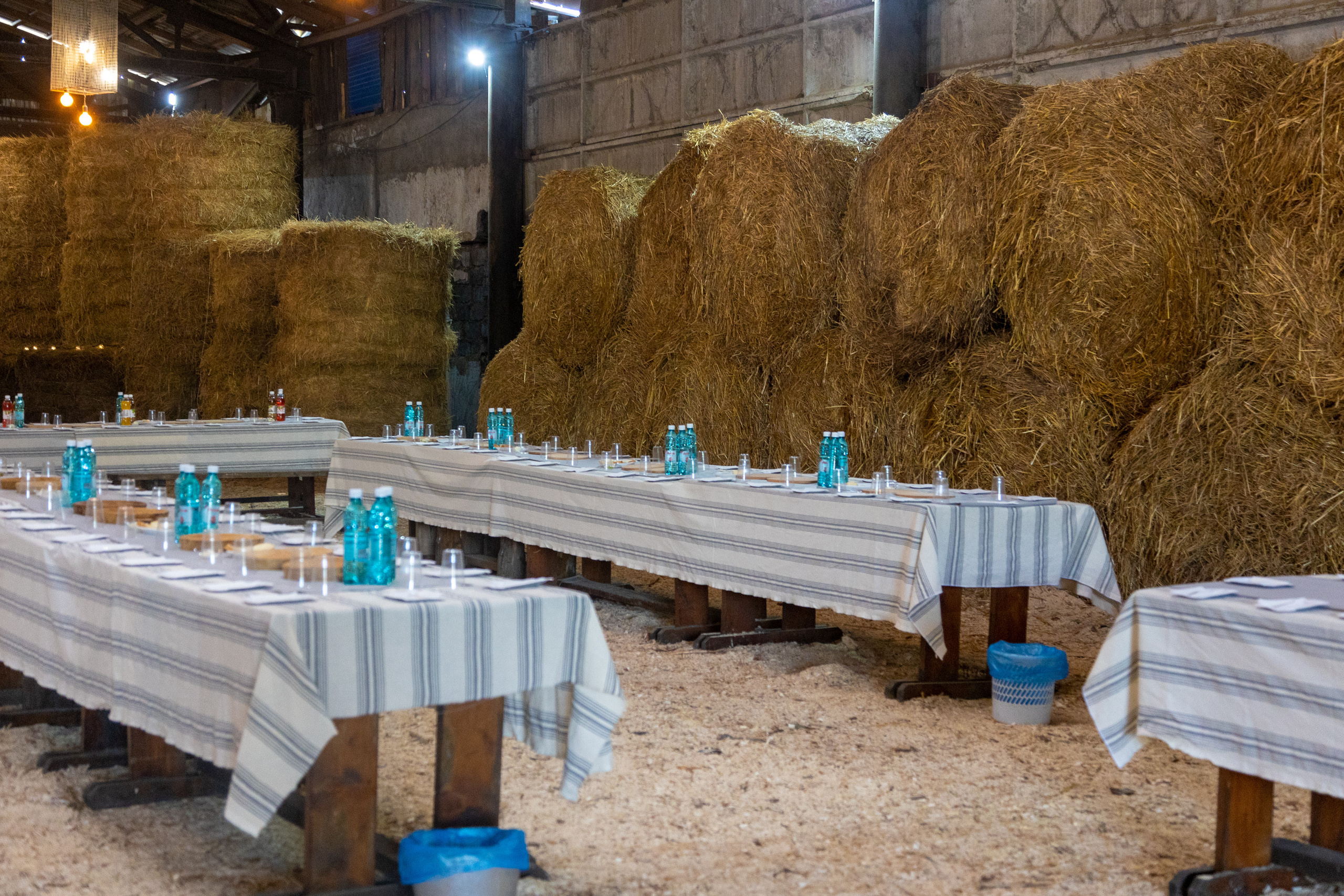 Ферма Лобановых. Фотограф Князев Сергей