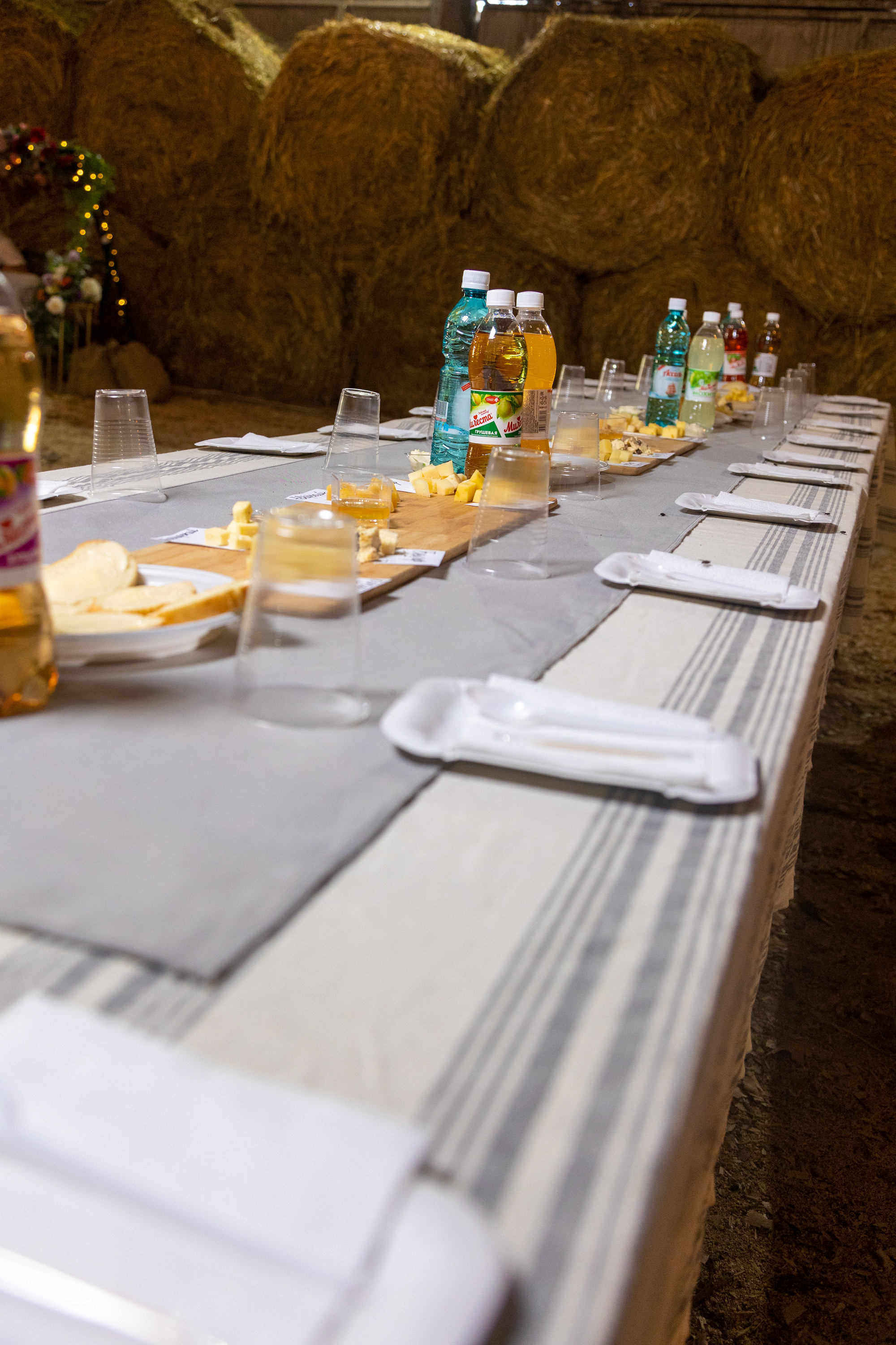 Ферма Лобановых. Фотограф Князев Сергей