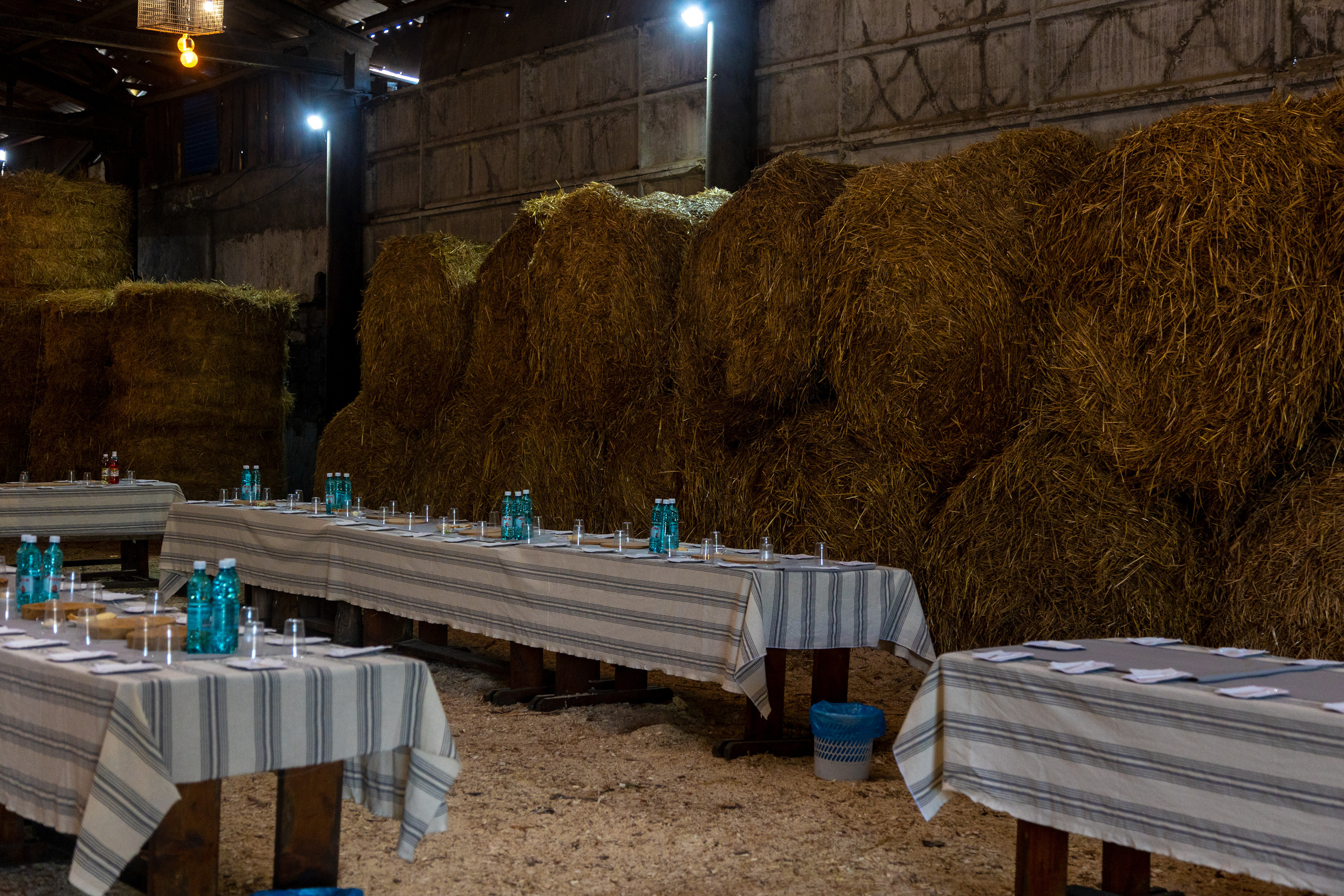 Ферма Лобановых. Фотограф Князев Сергей