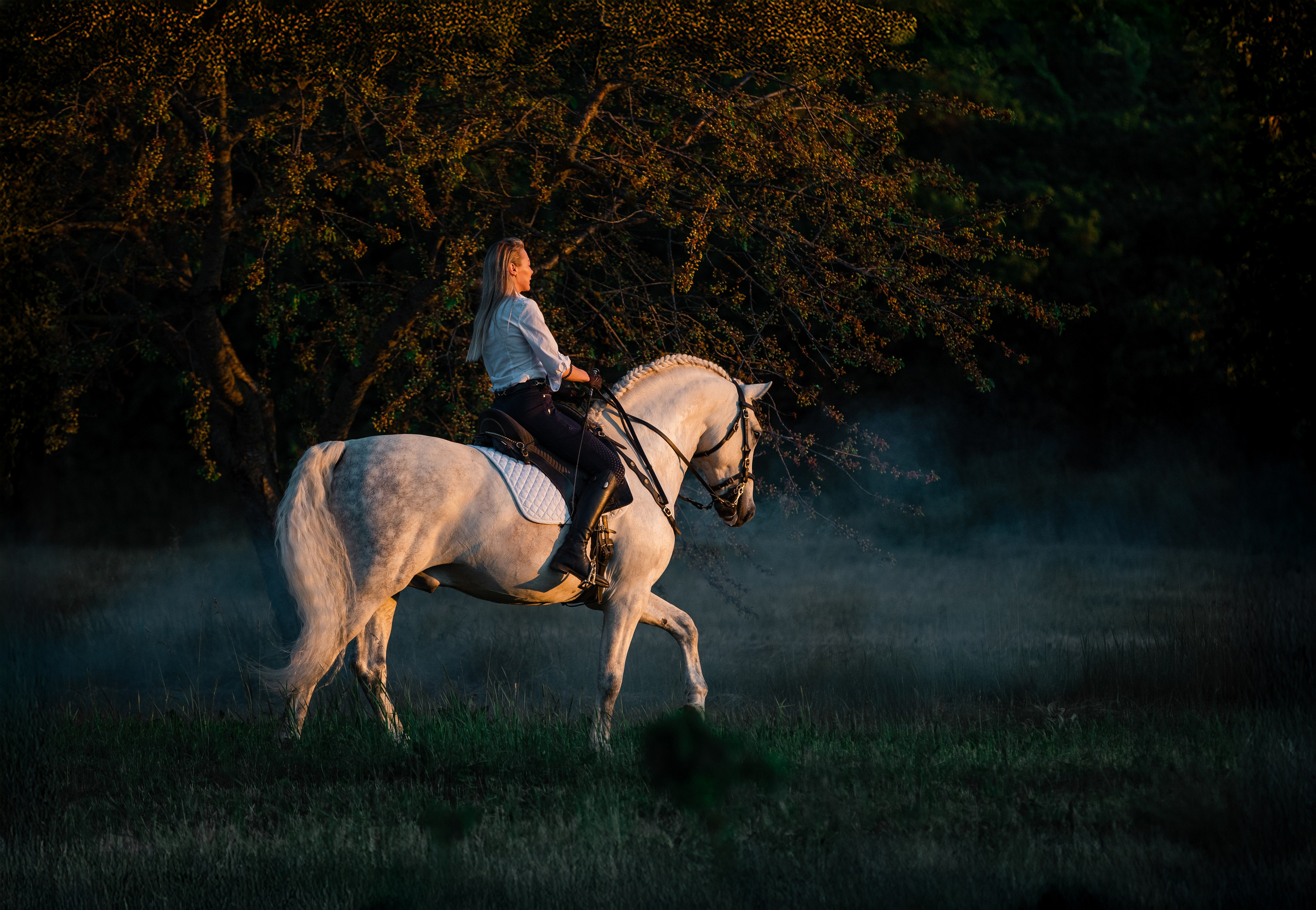 Натали и Цезарь. Фотограф-анималист Ксендзова Кристина