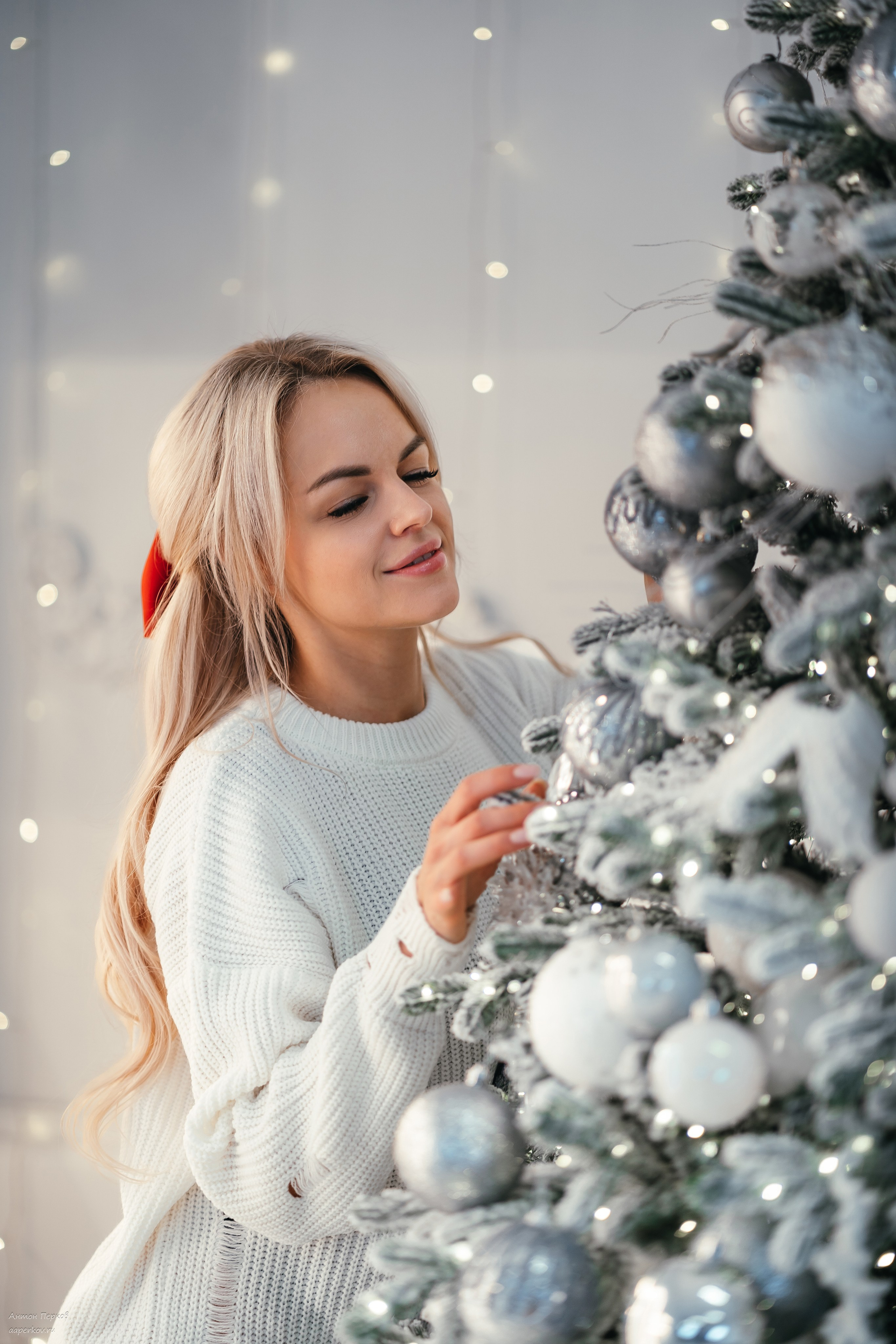 Новогодняя сказка. Фотограф Антон Перков