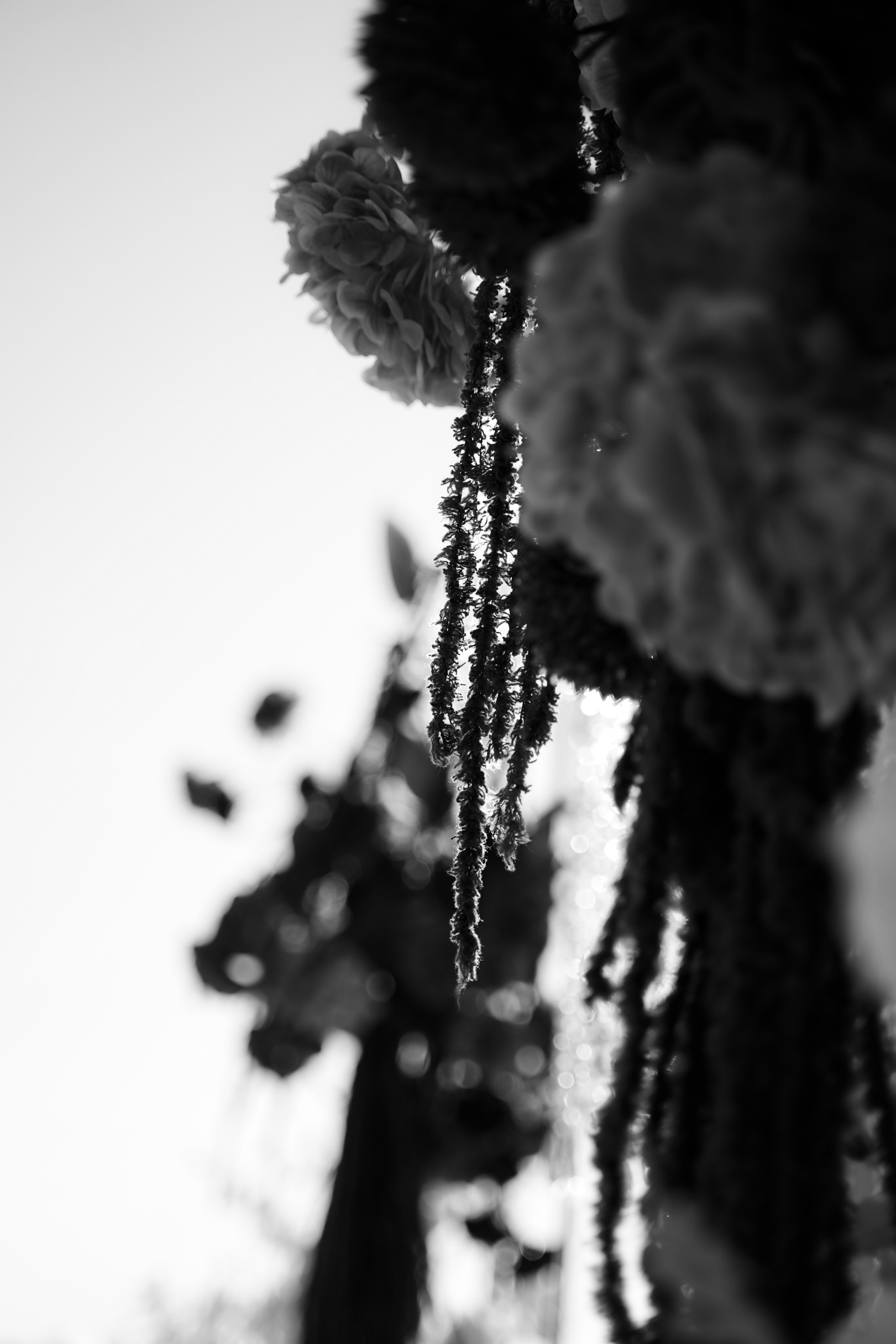 Анжелика & Евгений. Главная