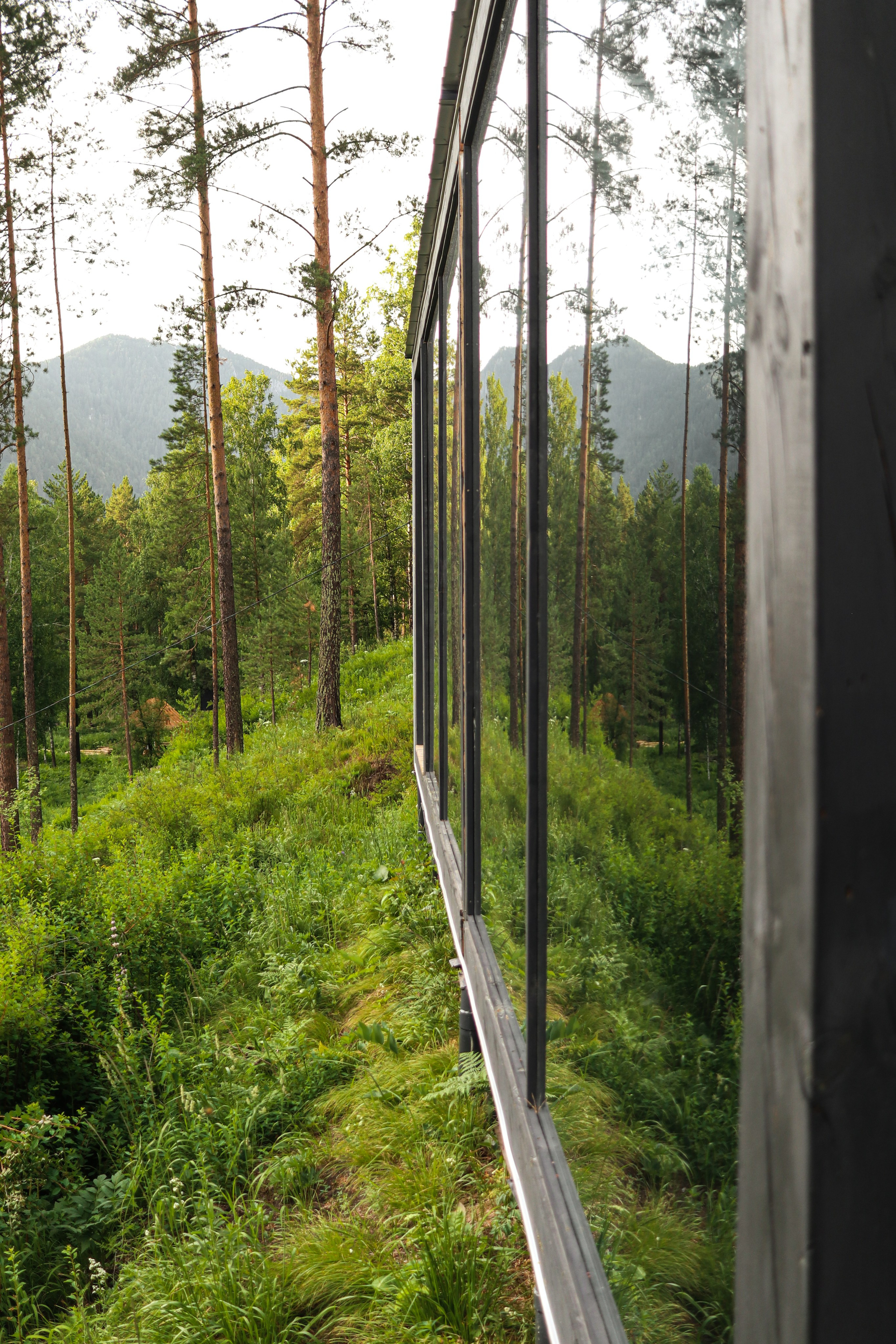 «Pinewood» парк-отель, респ. Алтай. Контент фотограф Дмитрий Борисов