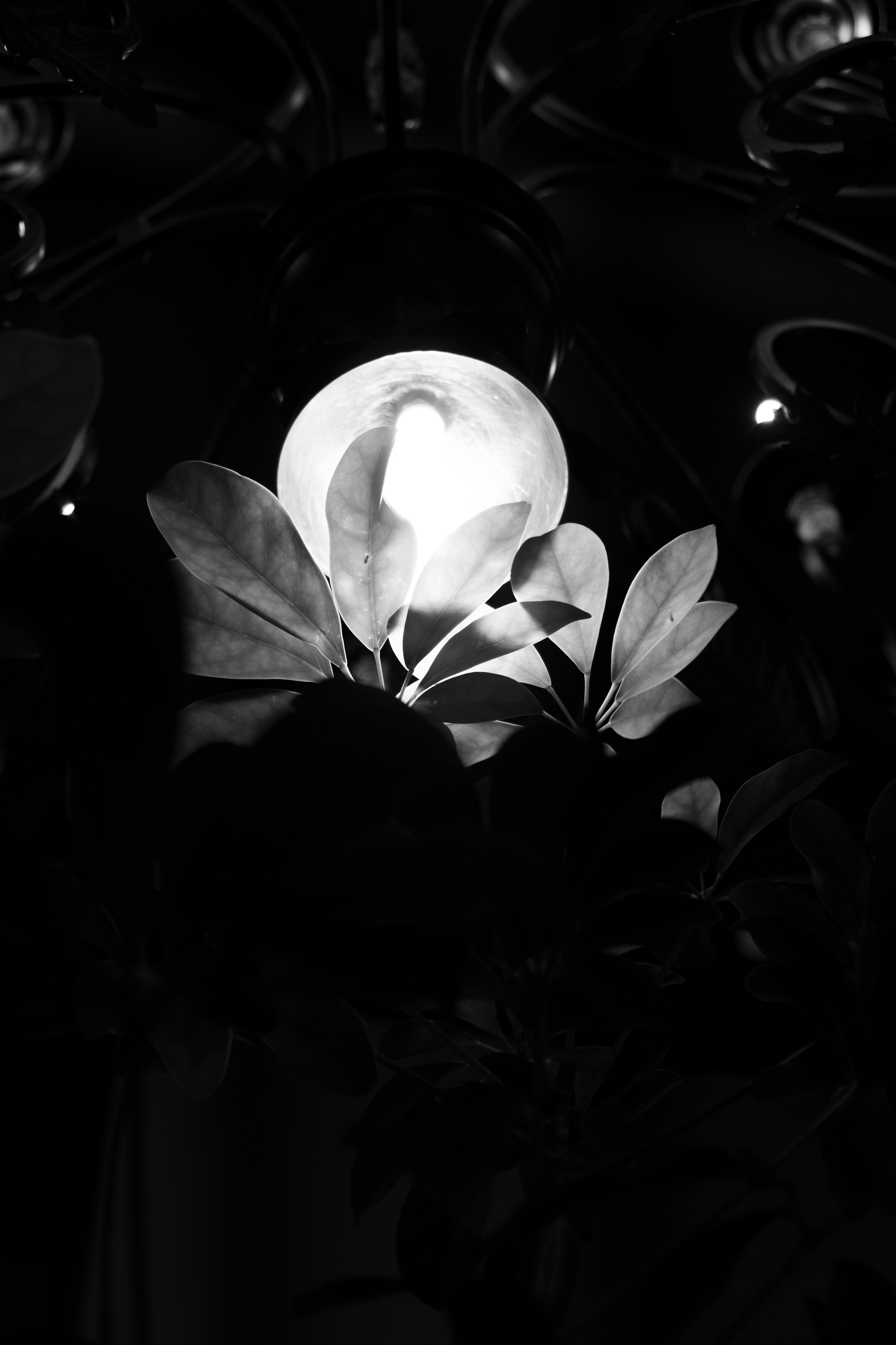 Контент-съемка. Портретный и fashion-фотограф в Санкт-Петербурге Олеся Поле