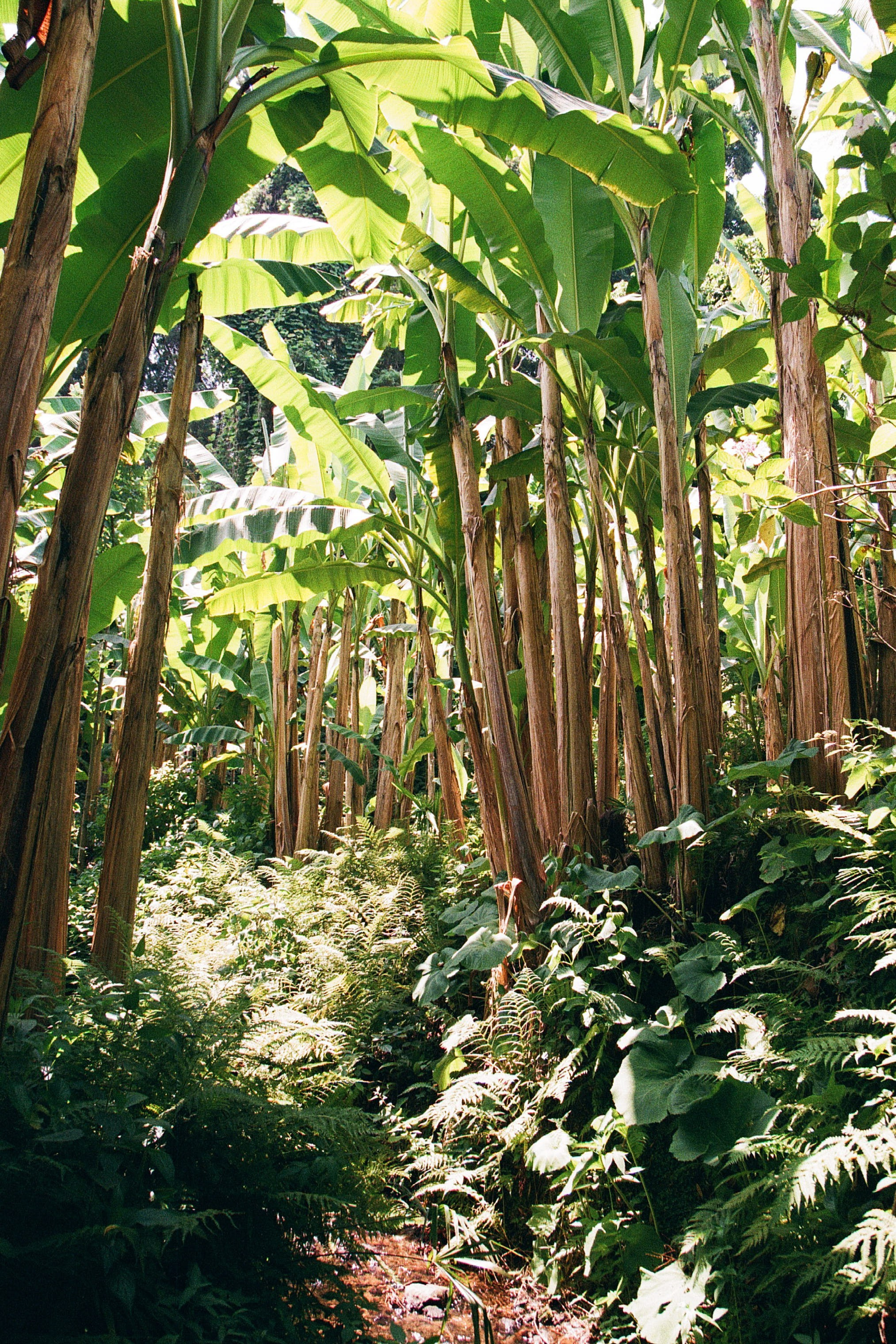 ГРУЗИЯ. ПРИРОДА.25. Профессиональный фотограф Федотова Арина