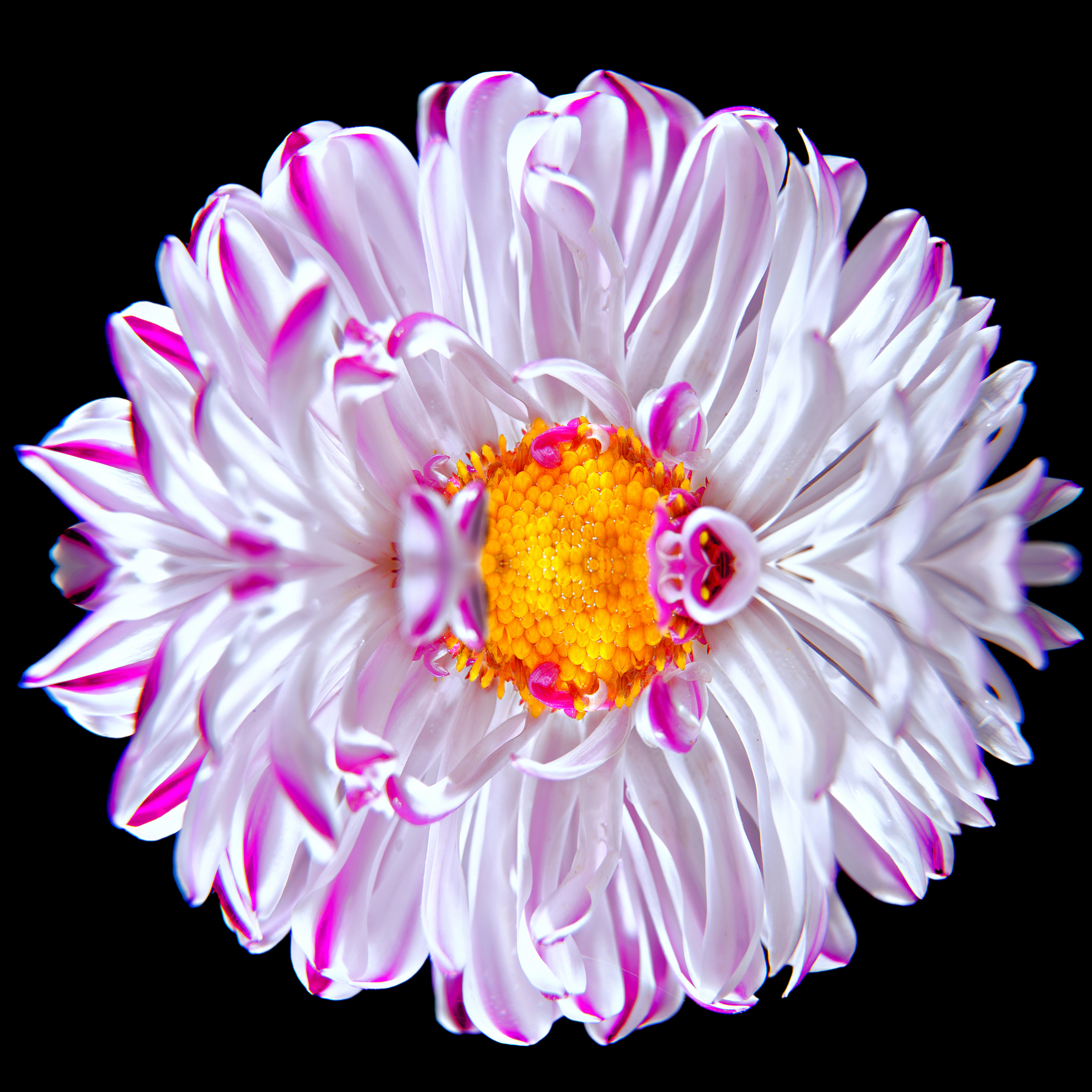 Профессиональная фотография в Хабаровске. Фотография в Хабаровске фотограф Александр Давыденко