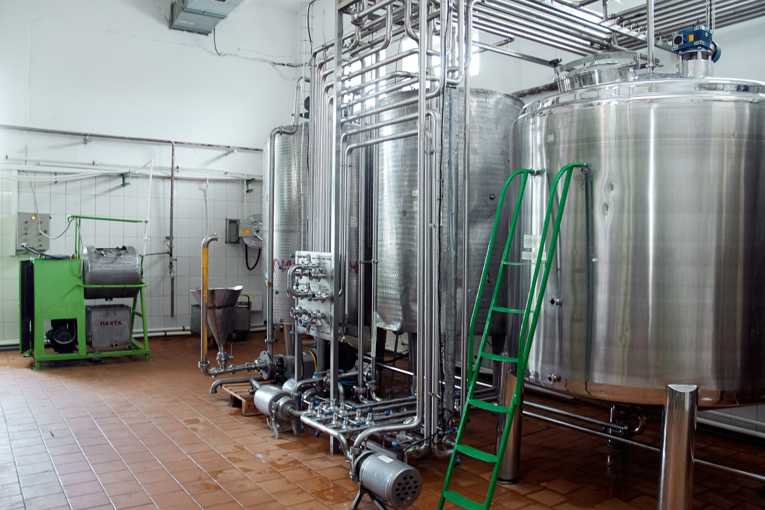 Экскурсия «Агроферма-Катынь». Фотограф в Смоленске Ася Польшина