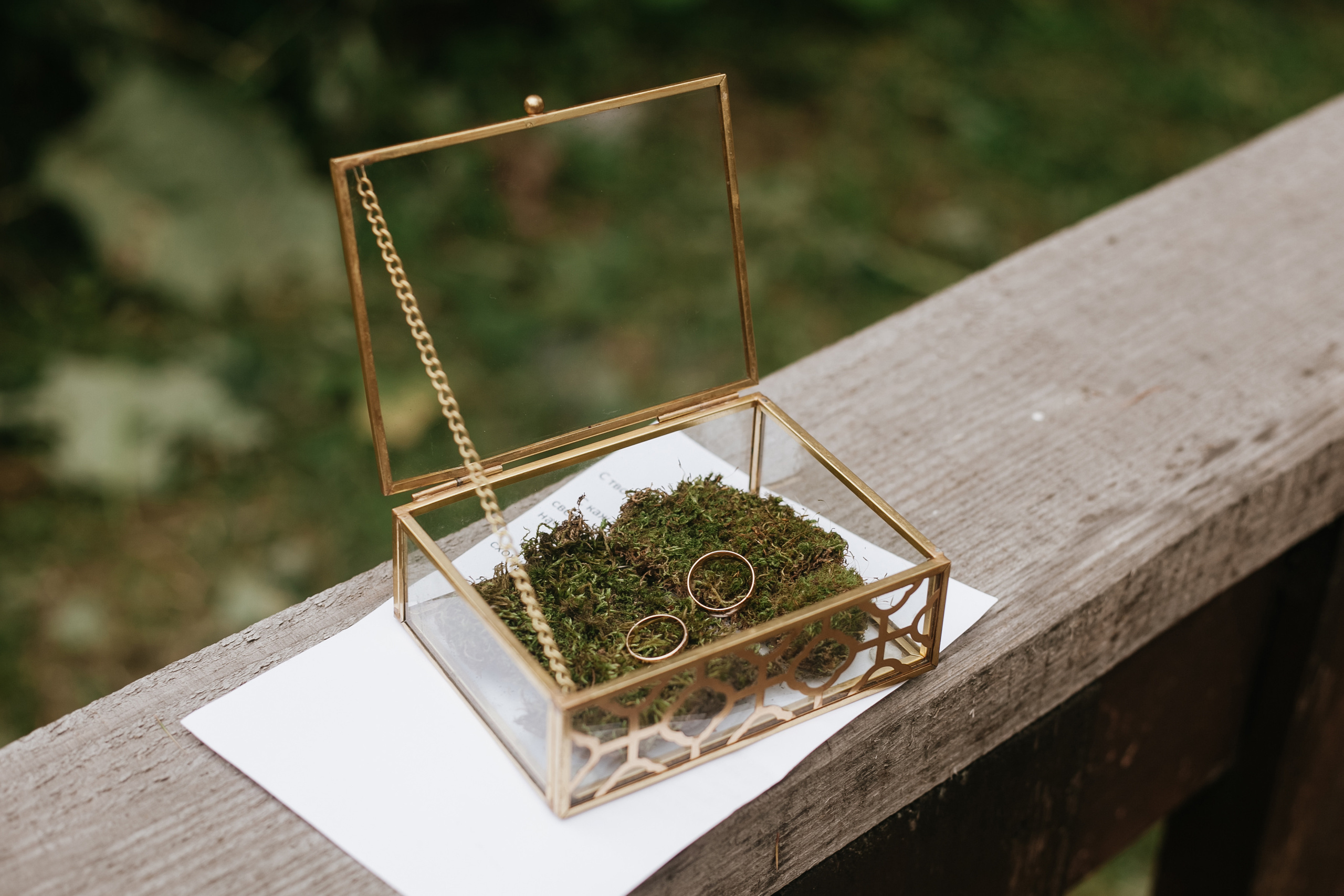 Роман и Валерия. Фотограф Москва, Санкт-Петербург, Абакан