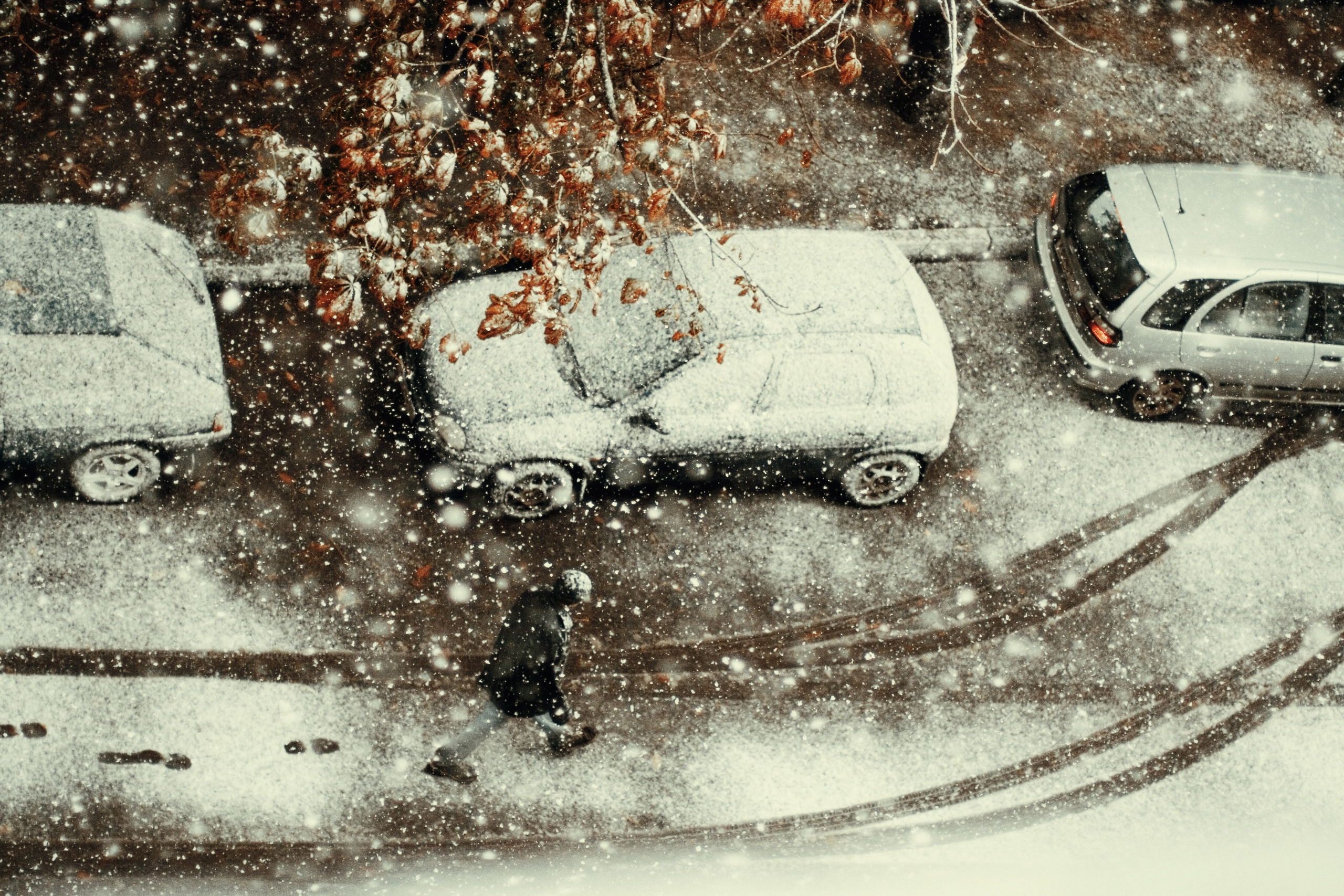 Арт-фото. Михаил Данилов | Фотограф