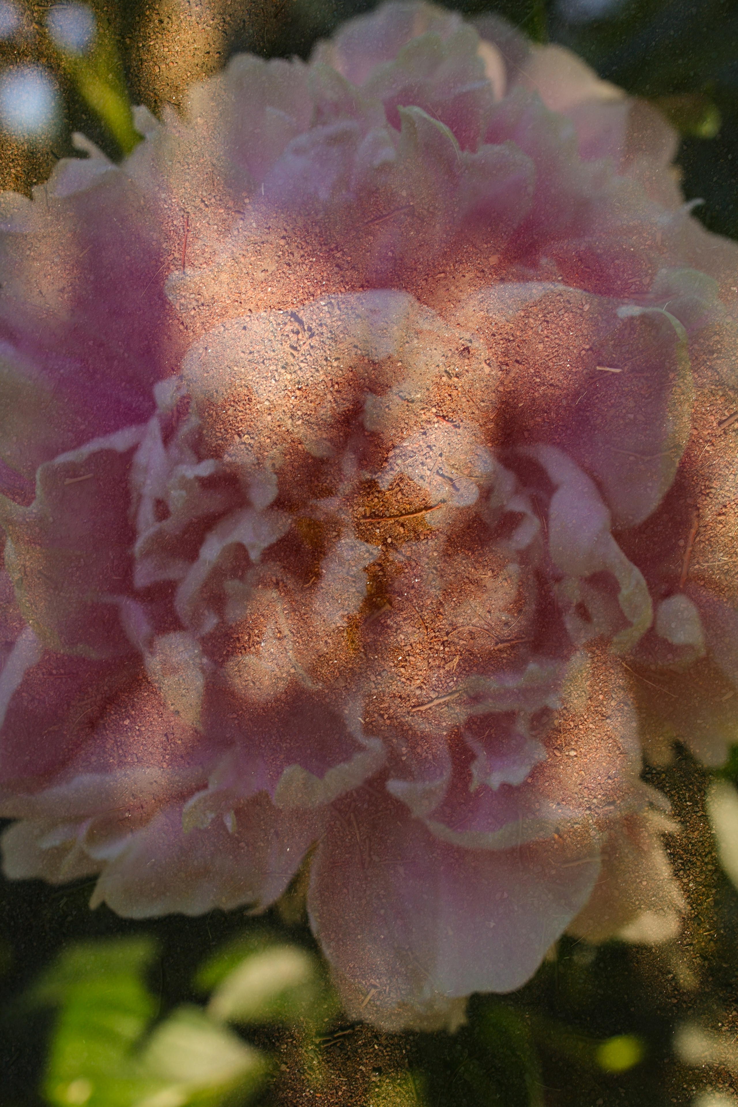 Природа &. Фотохудожник в СПб