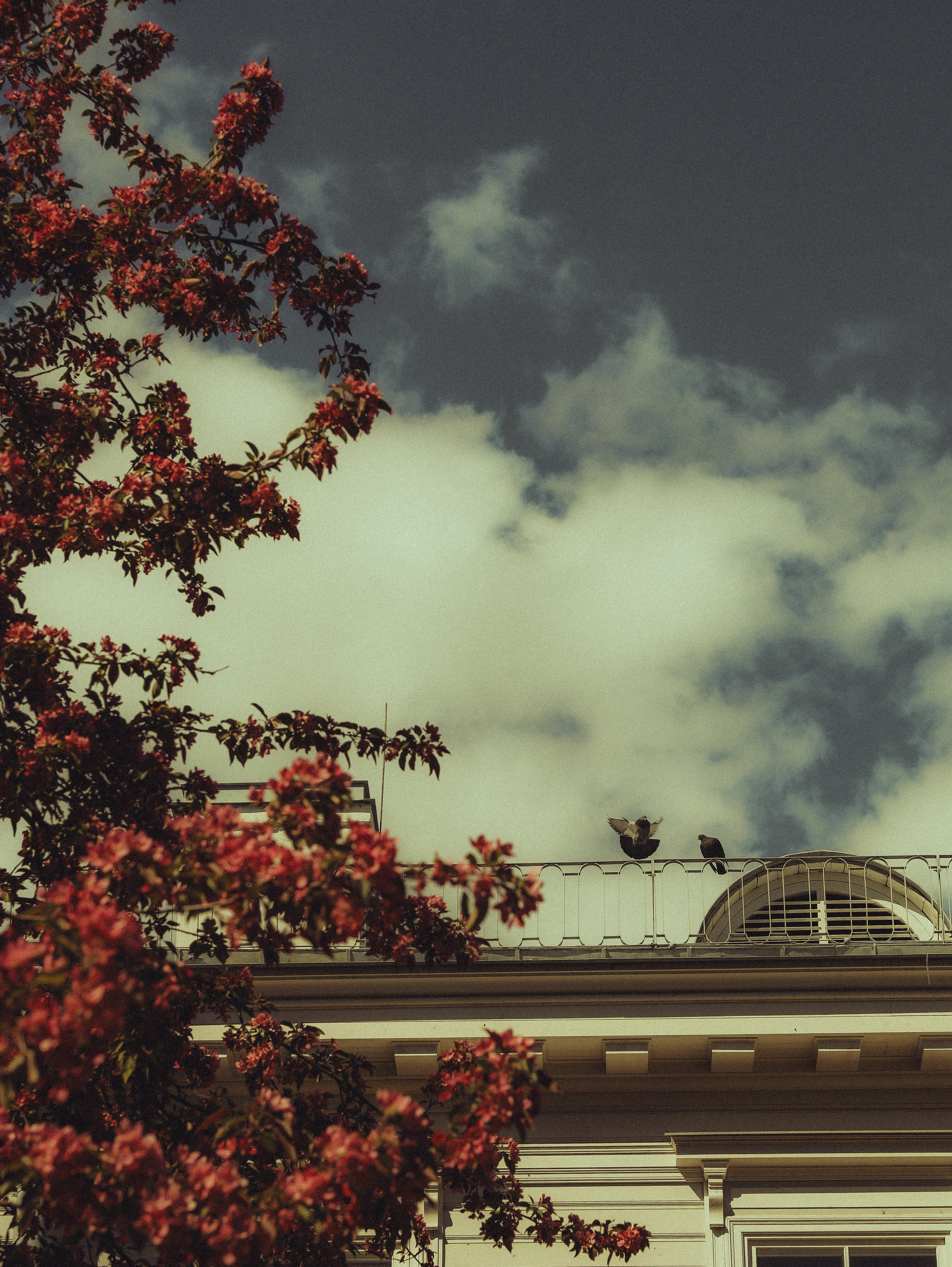 Природа &. Фотохудожник в СПб