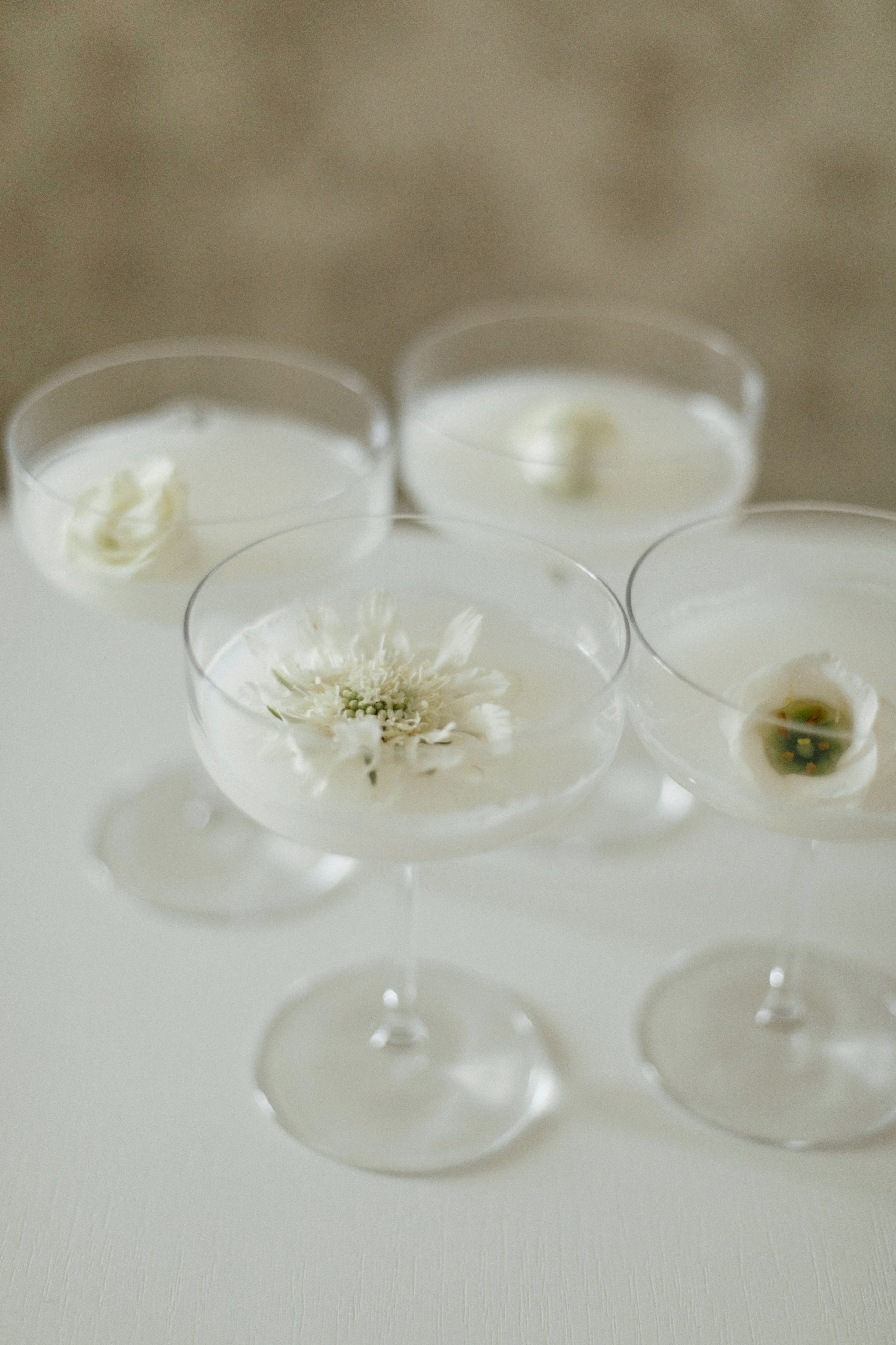 Марина & Леша. Свадебная фото и видеосъемка в Гомеле