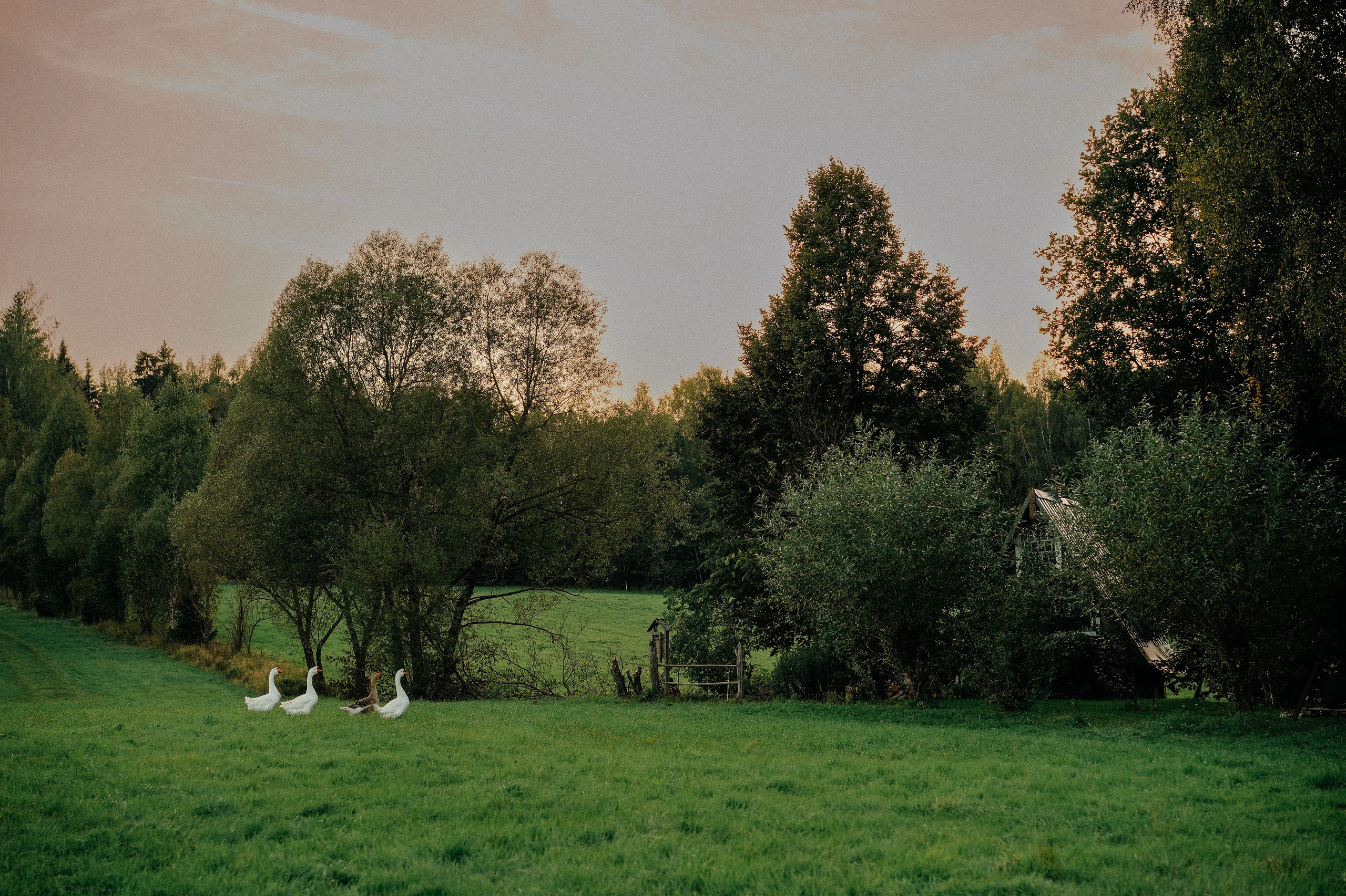 Семейный фотограф Клубкова Мария. Поместье Клу