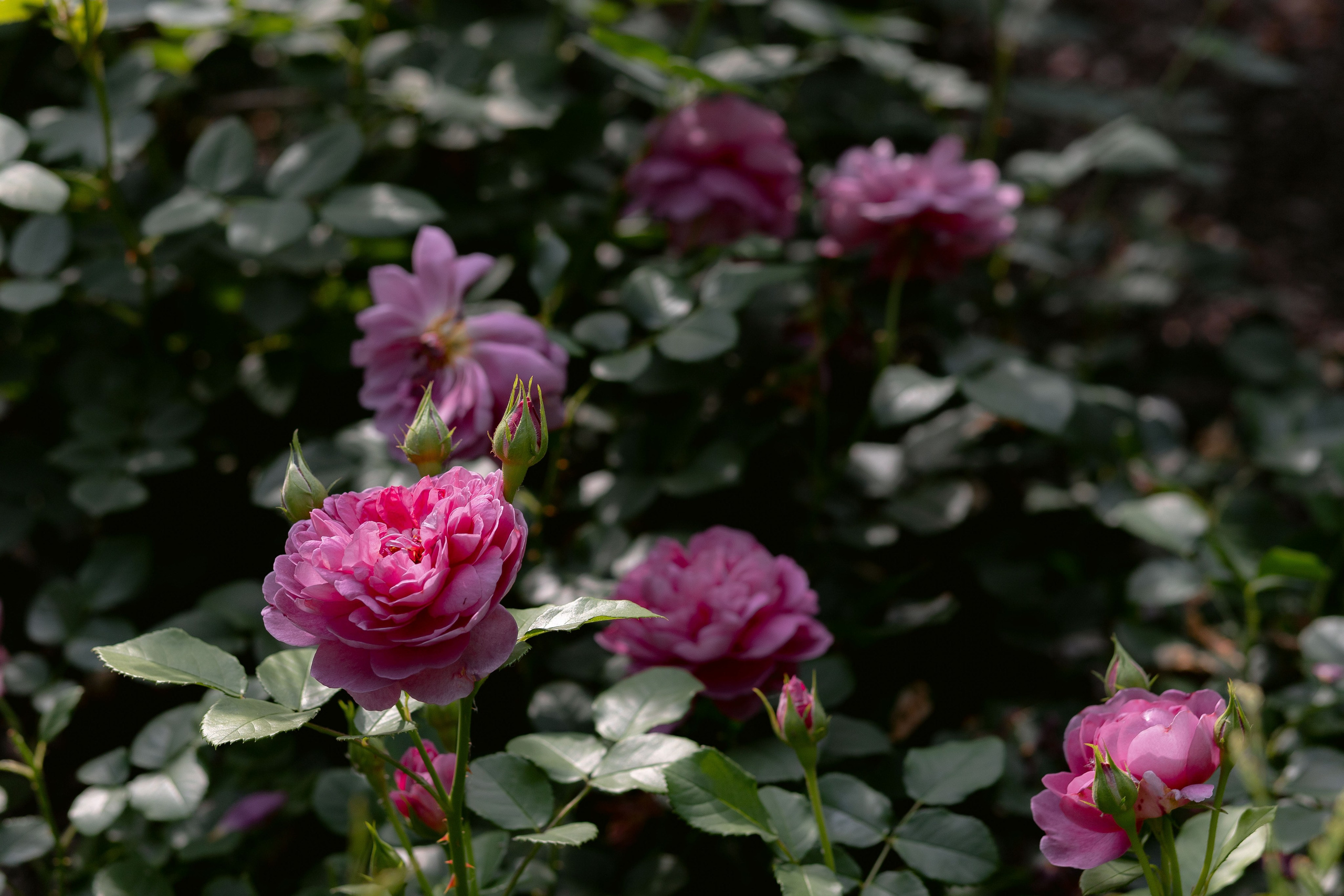 Эльдар & Марина