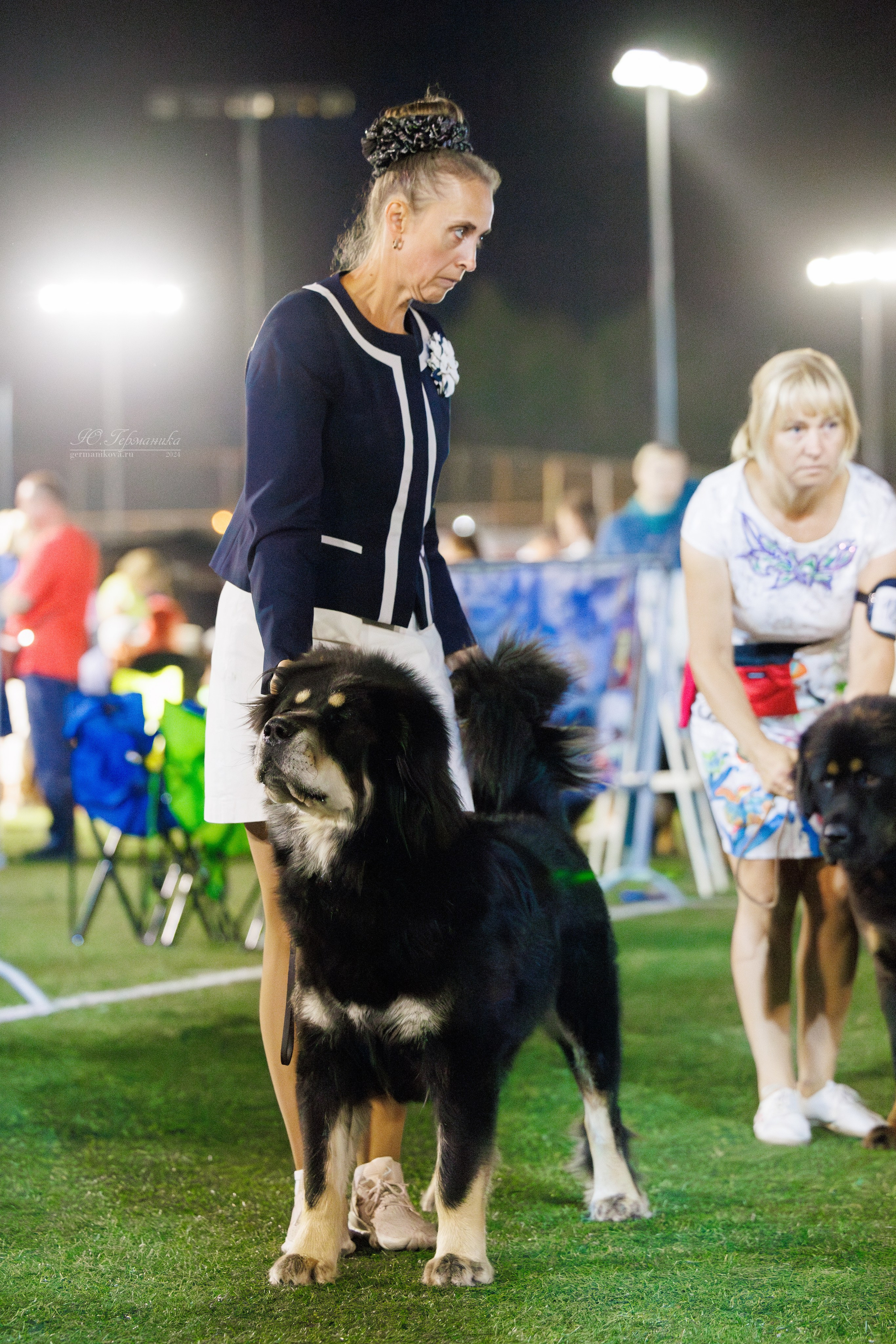Волгоград 2-4.08.2024. Фотограф-анималист Юлия Германика
