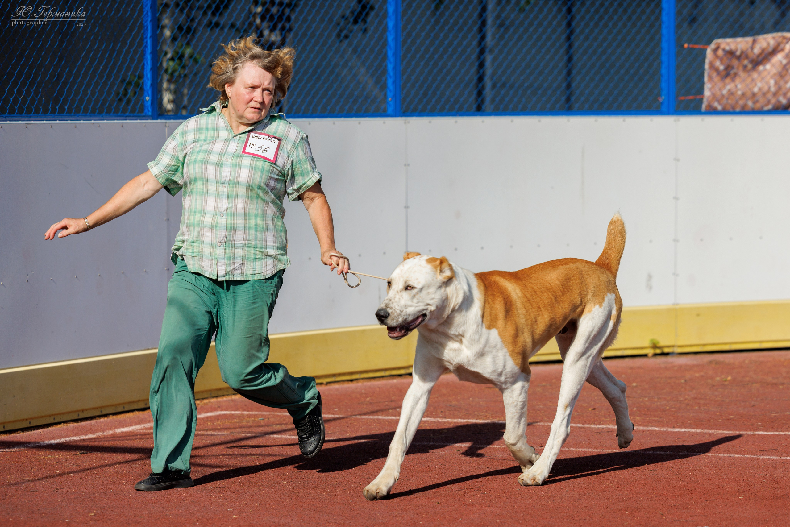 Коломна 30.08.2025. Фотограф-анималист Юлия Германика