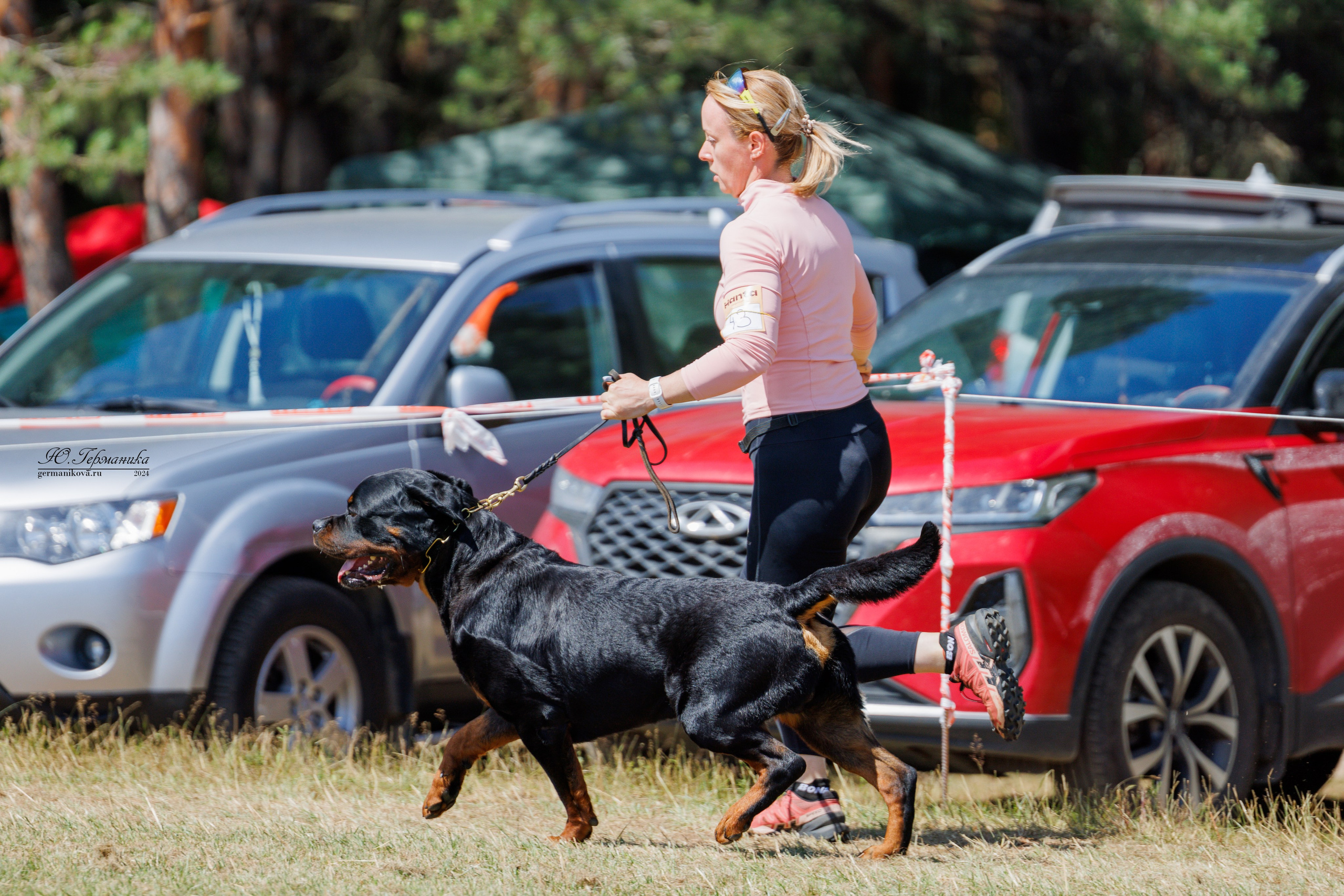 ПК и КЧК ротвейлеры Тверь 6-7.07.2024. Фотограф-анималист Юлия Германика