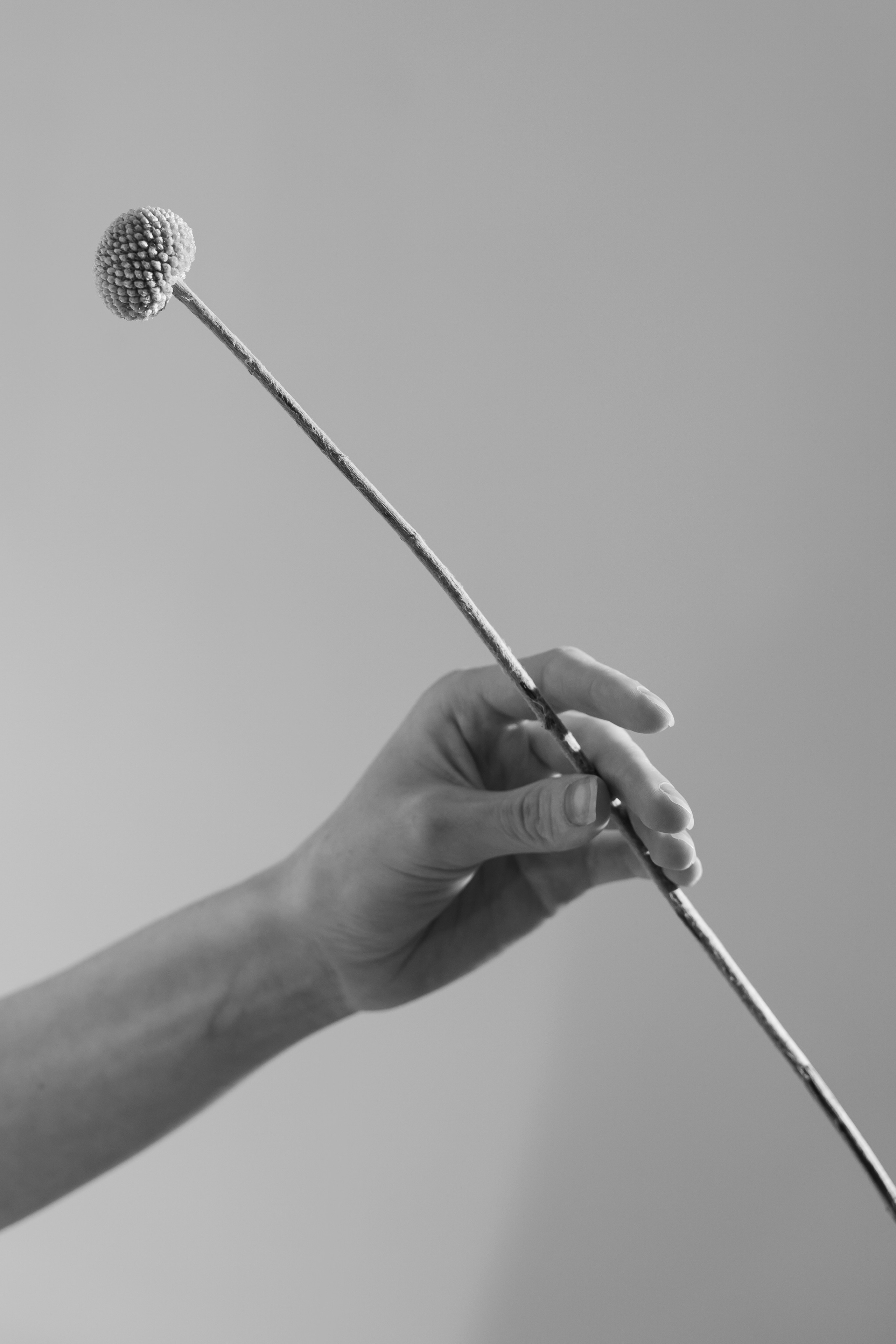 ЕЛЕНА: ЧБ СЪËМКА В СТУДИИ В МОСКВЕ. Свадебный фотограф в Санкт-Петербурге Алиса Беликова