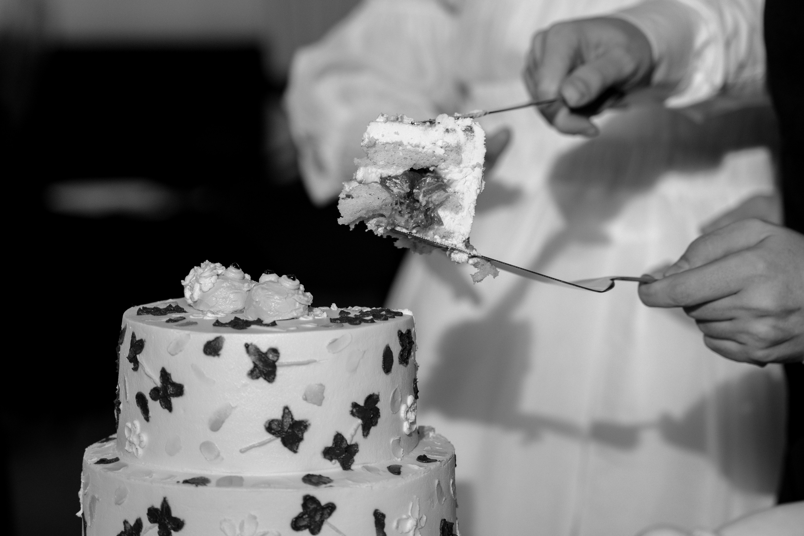 Екатерина и Тимофей. Ульяна Ремезова | Фотограф | Челябинск