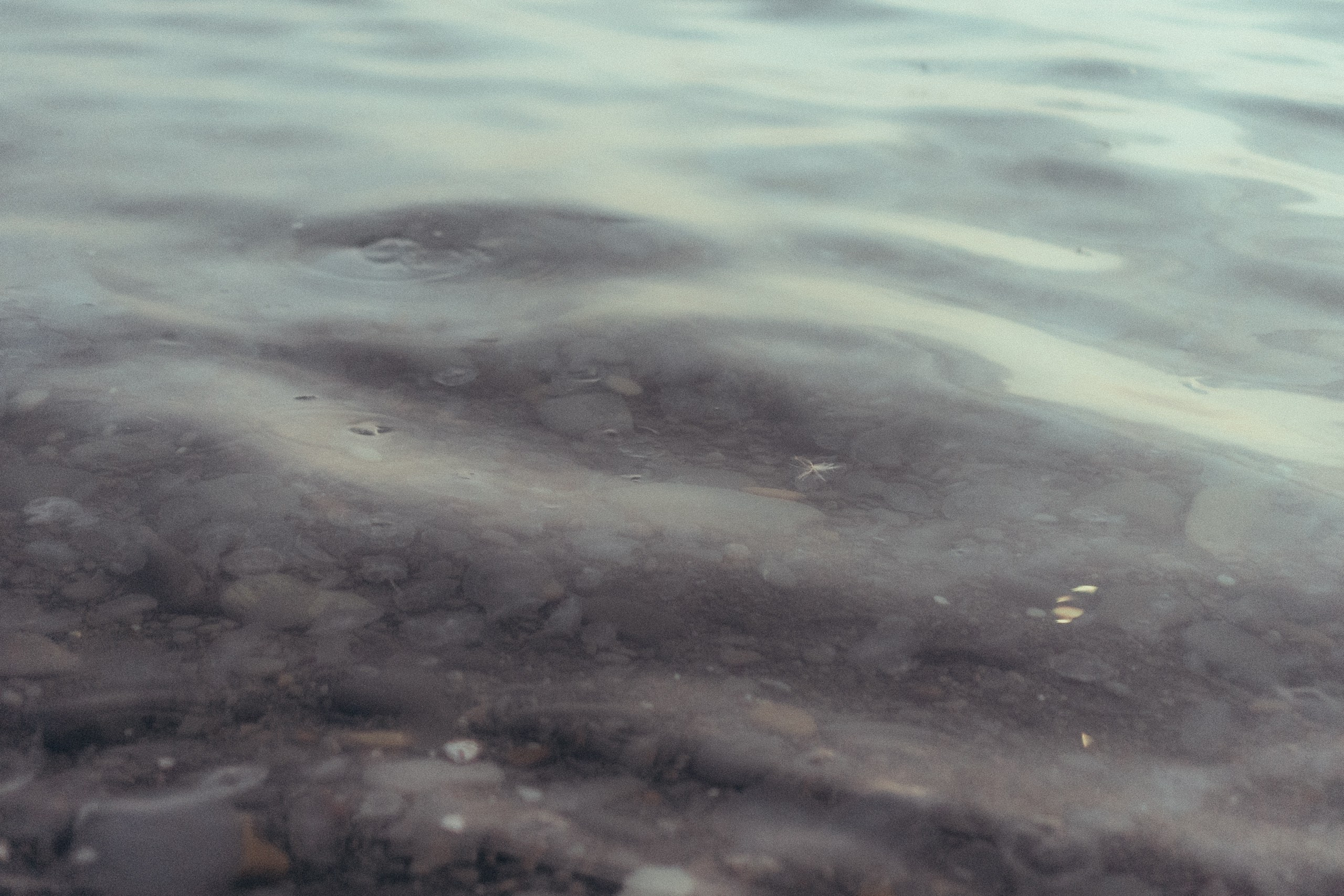Вечерняя прогулка по Анапе. Профессиональный фотограф, Санкт-Петербург — Виктория Богомолова