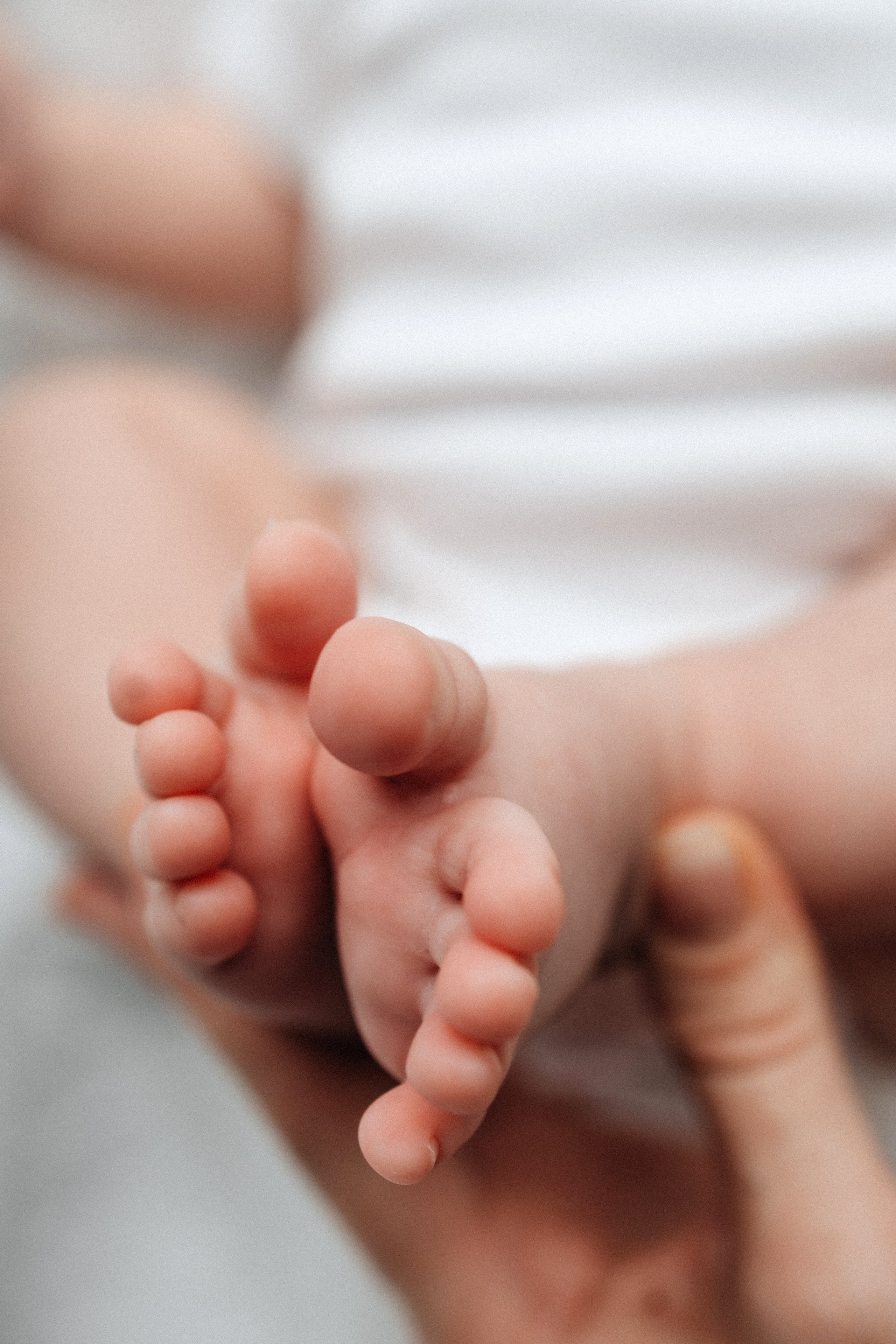 ПАКЕТ «Simple». Главная