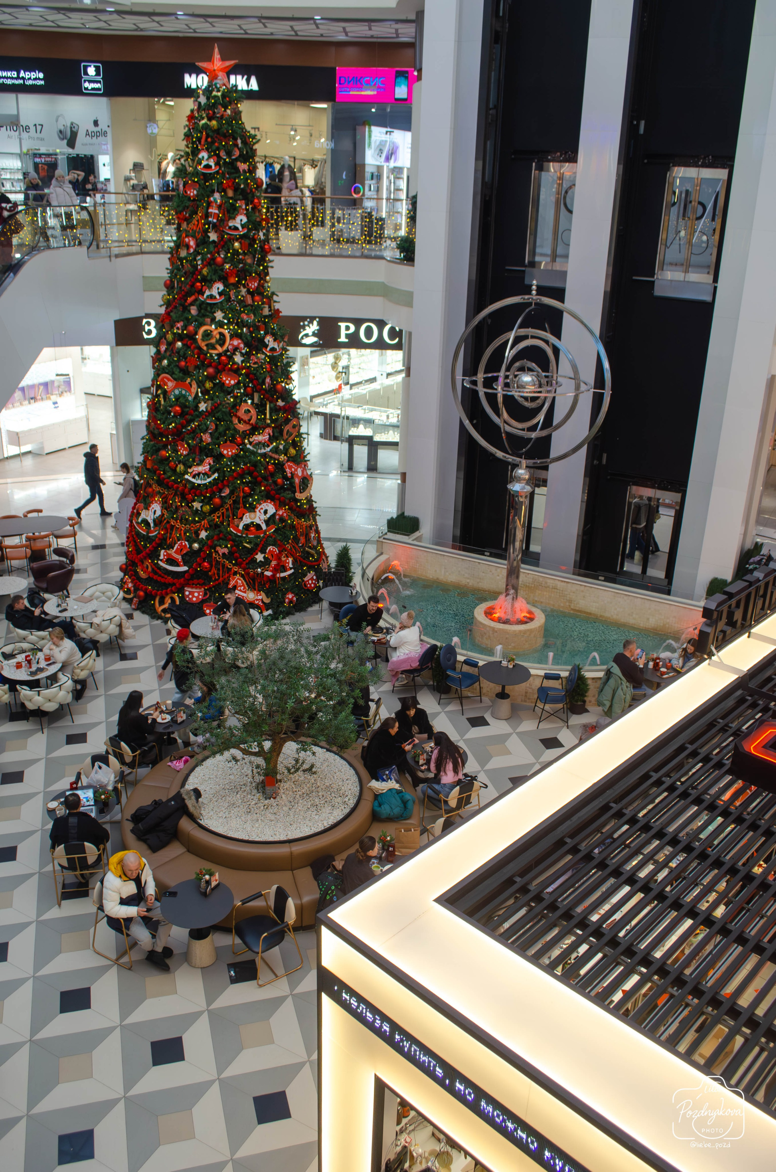 Кофейня Biggies Барнаул|Кристина Плетнева|17.01.2026. Фотограф-видеограф Познякова Любовь