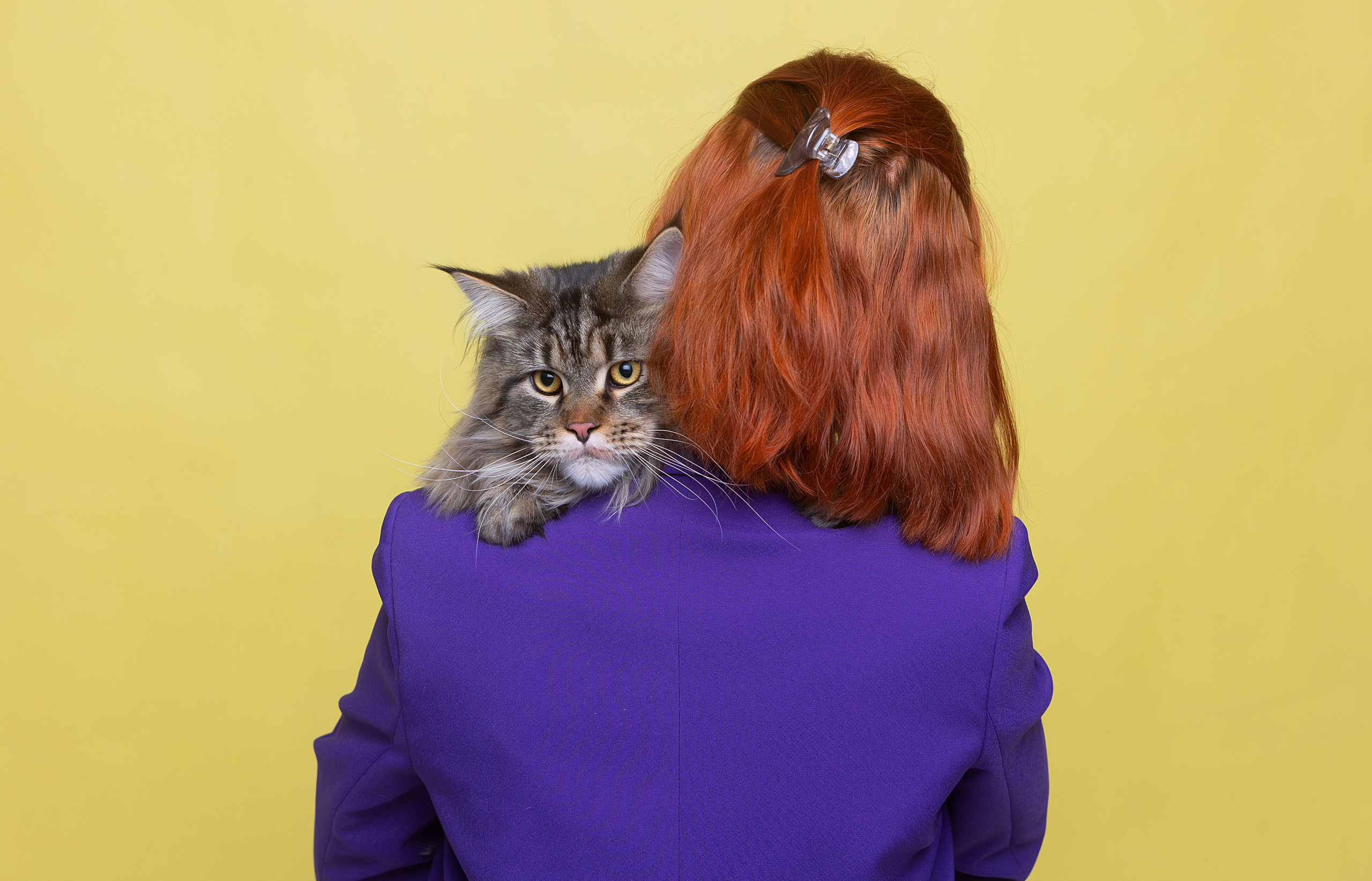 Студия. Фотограф-анималист Антон Базылевич