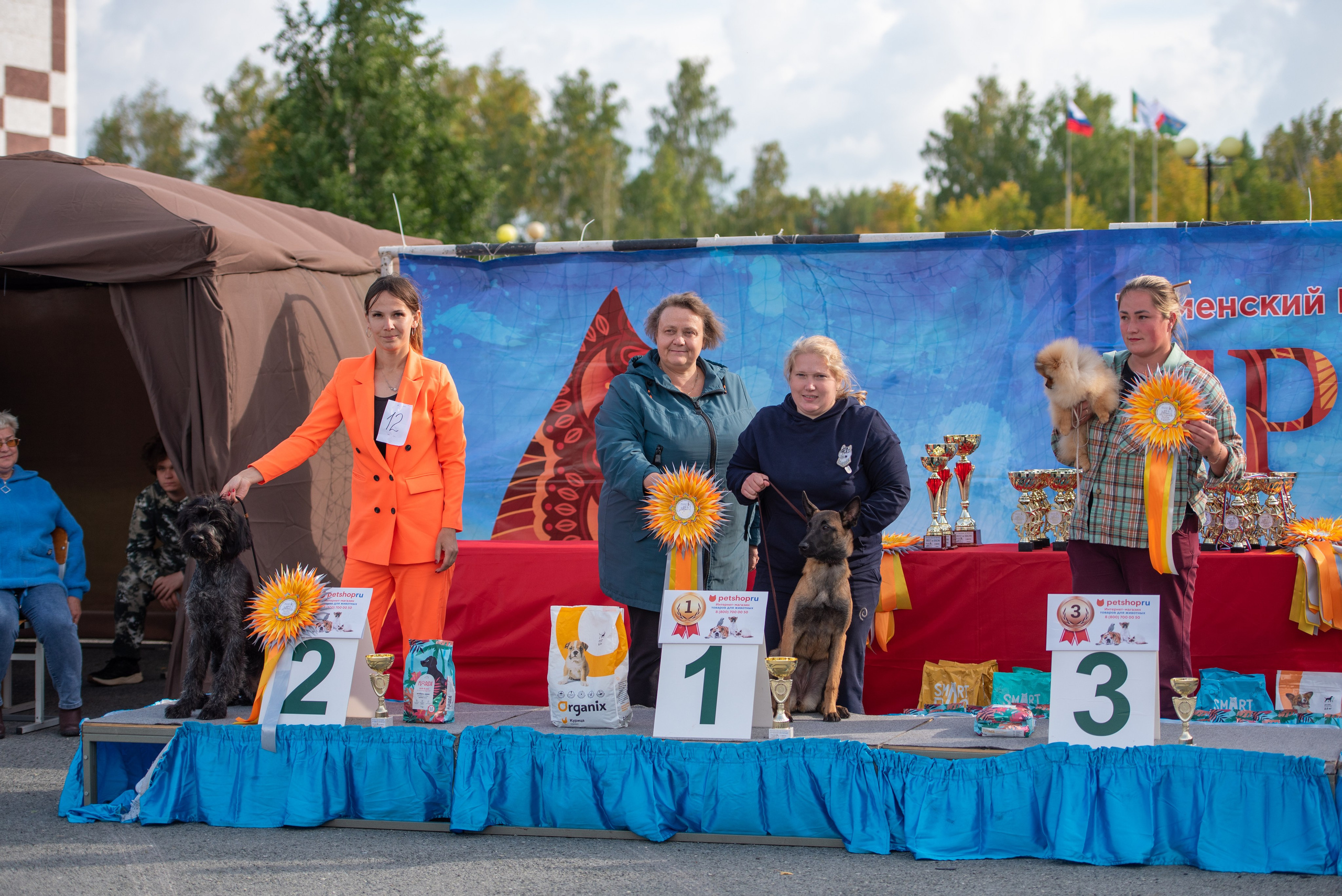 Выставки. Главная