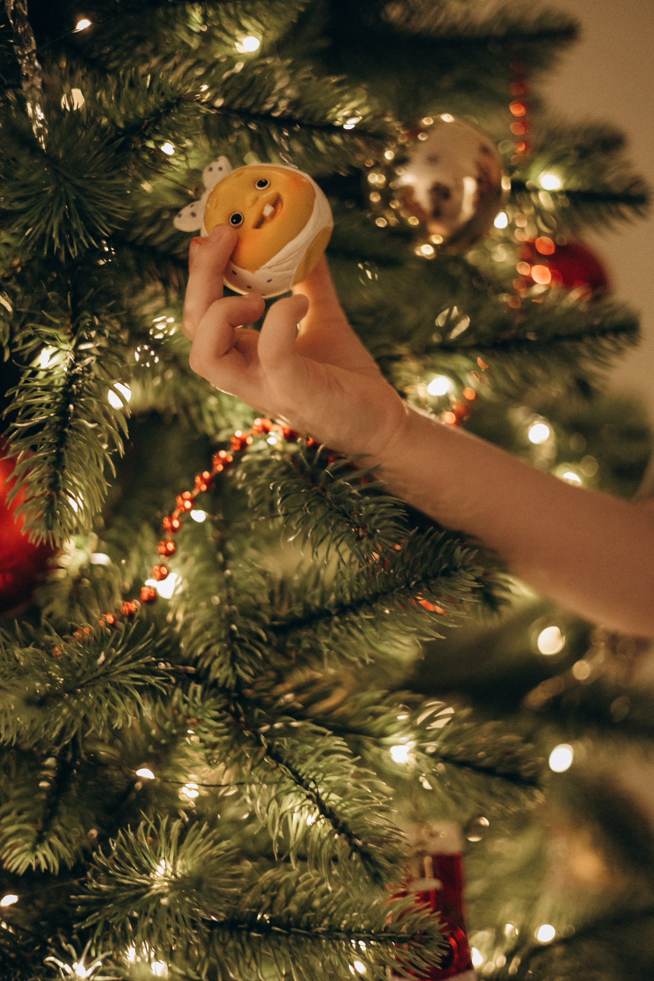 Семья дома. Фотограф в Нижнем Новгороде Воробьева Анжела