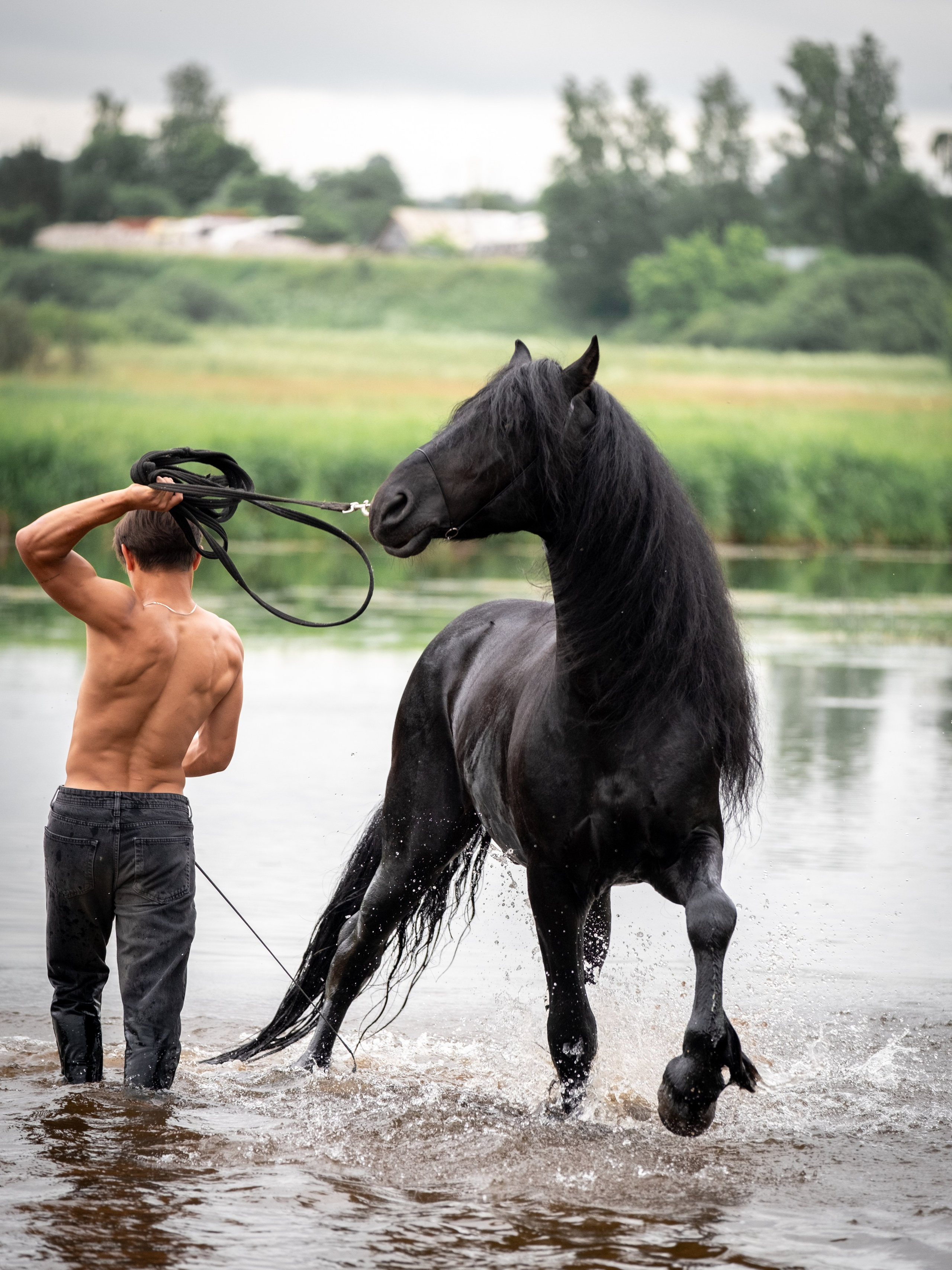 Аванпост, конное ранчо. Зоофотограф, фотограф животных в Москве и области Дина Дамоцева