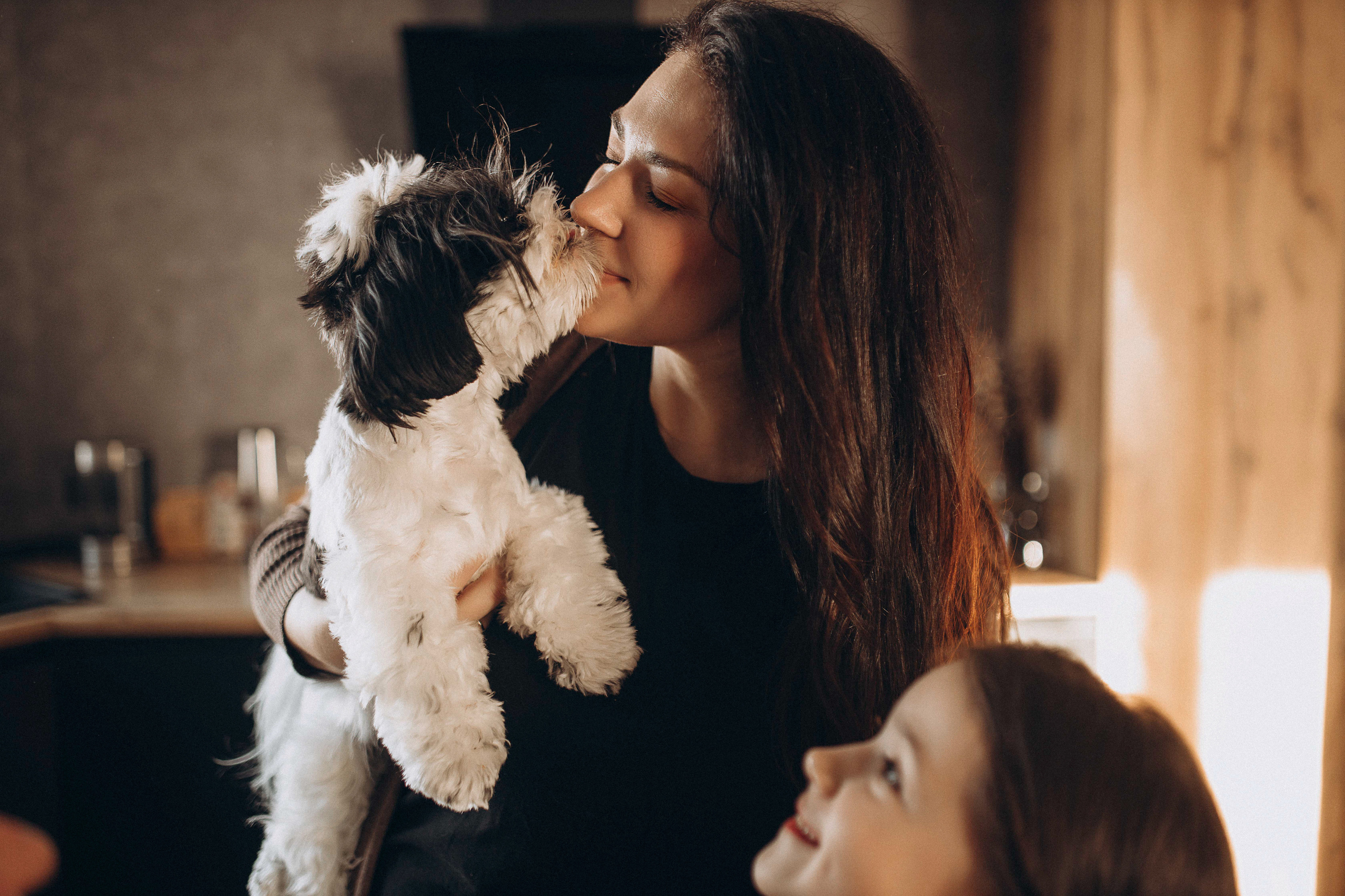 Гусиный пух, жара, декабрь