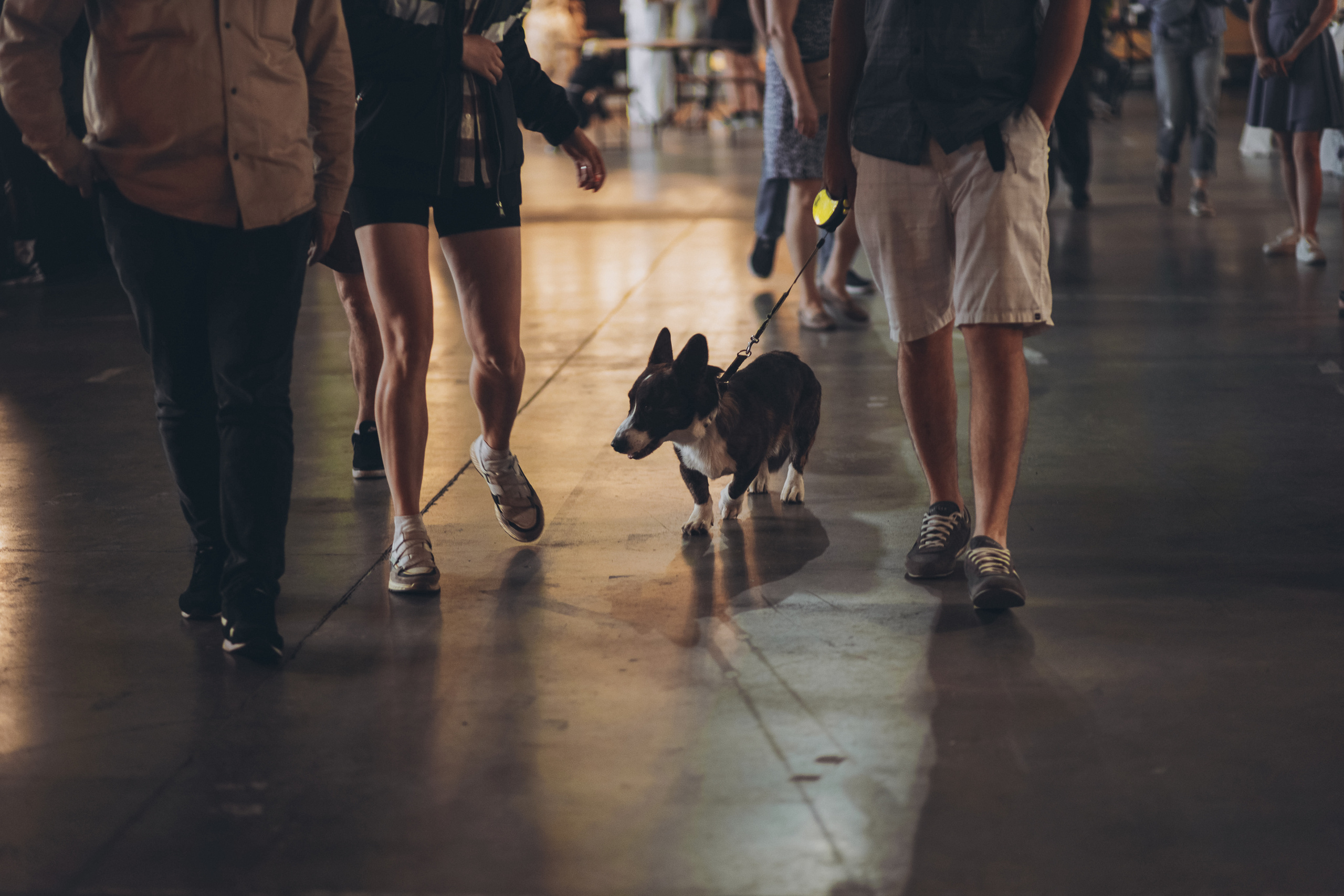 Popcorn market | Севкабель порт