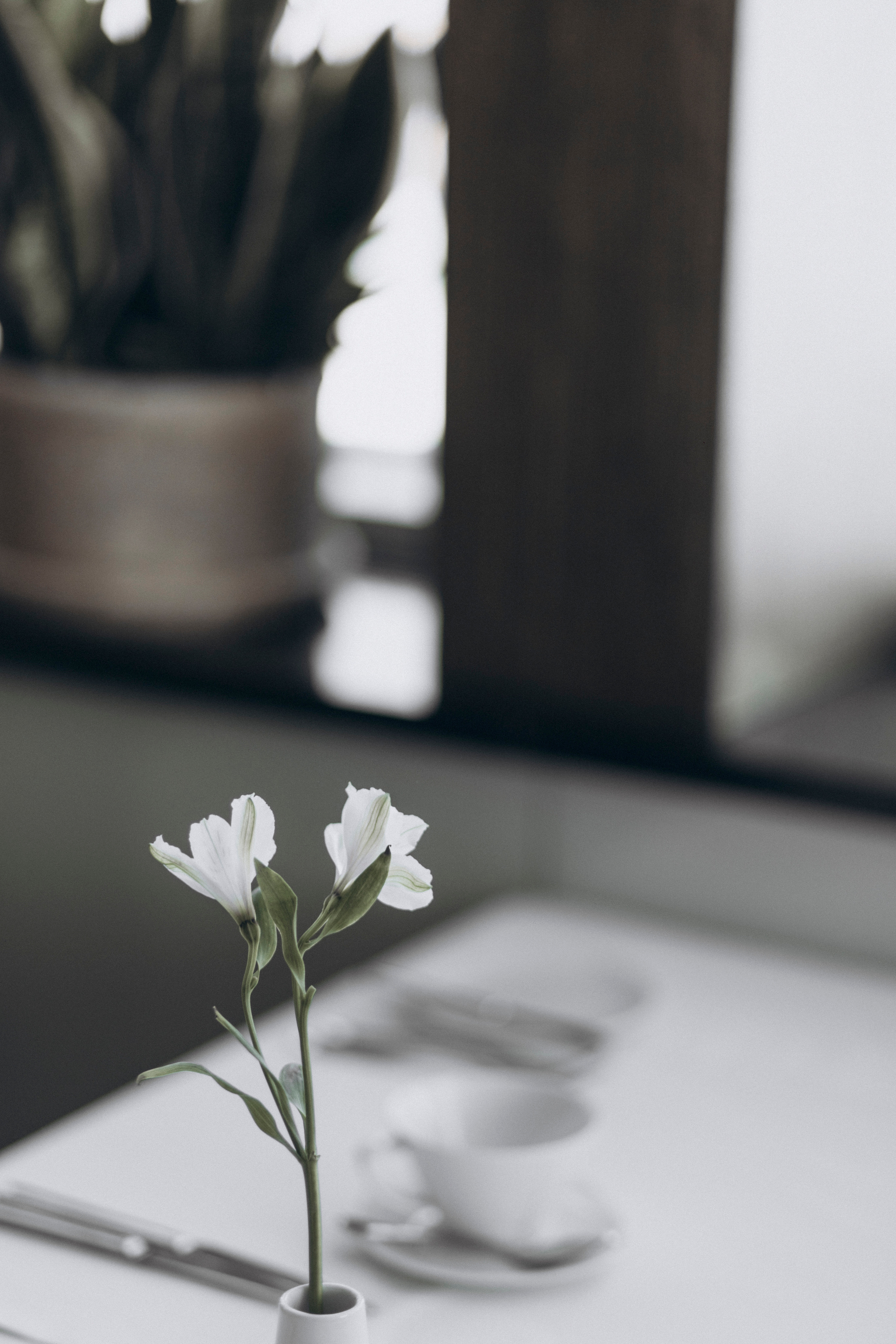 Как дедушка свадьбу снимал