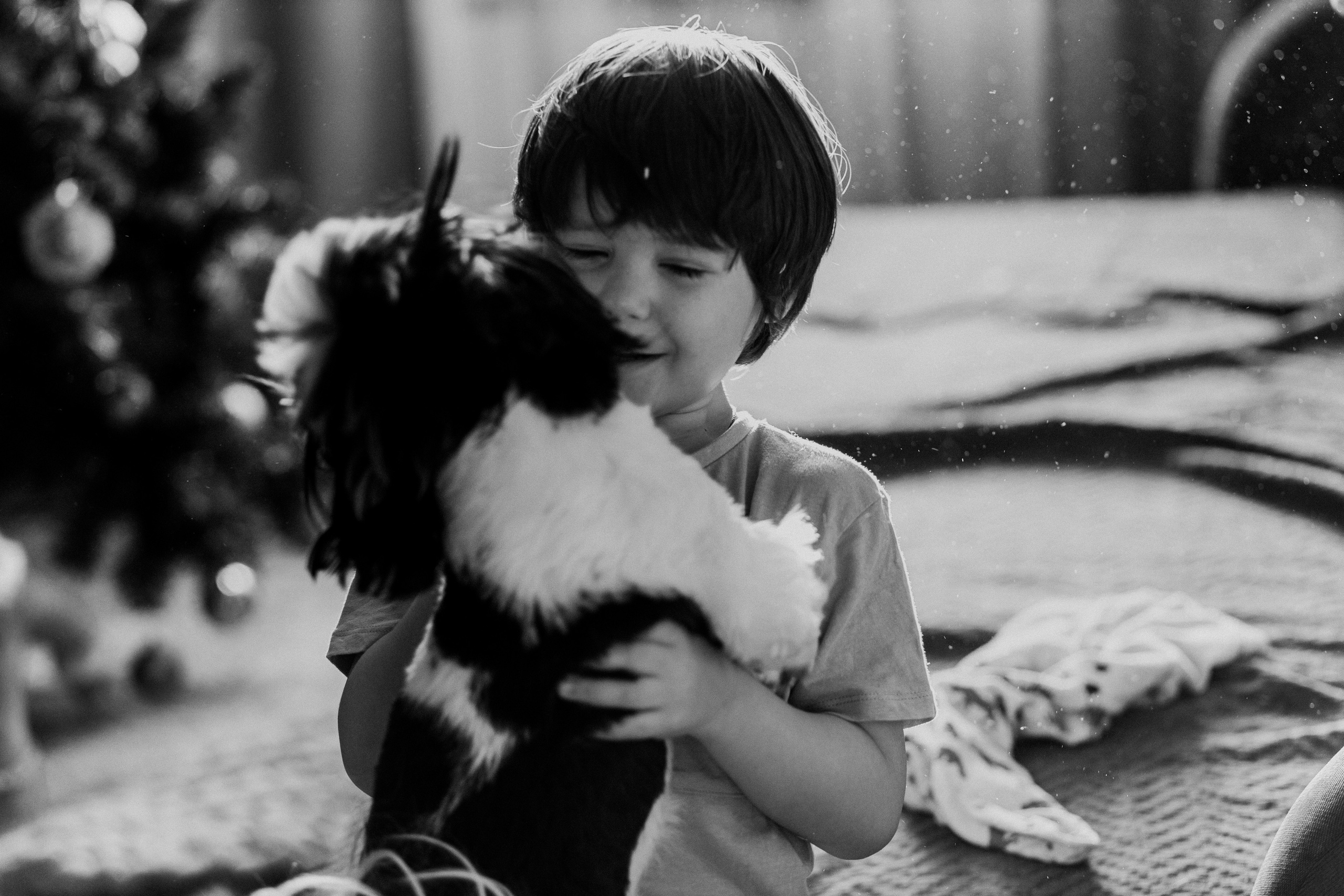 Гусиный пух, жара, декабрь