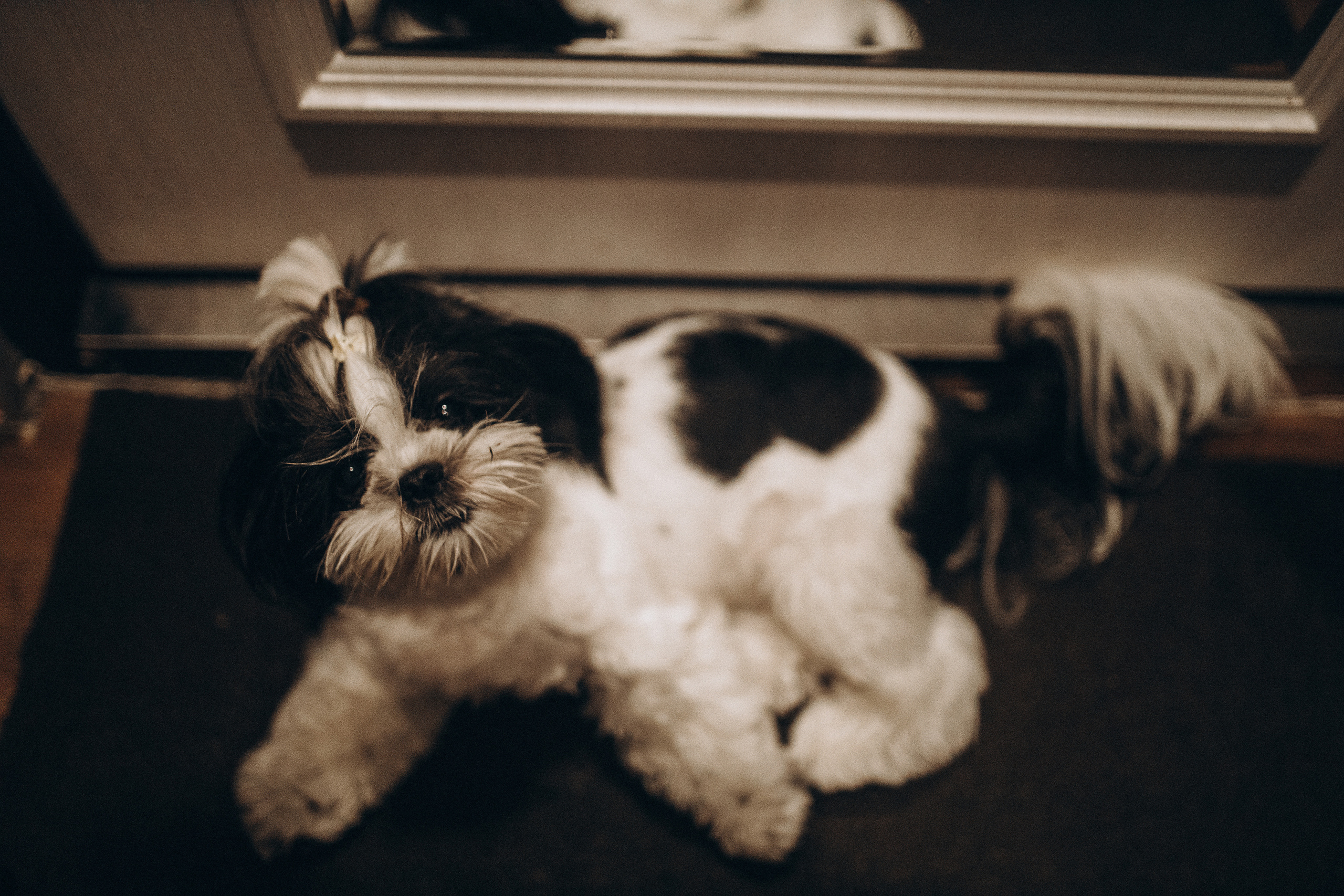 Гусиный пух, жара, декабрь