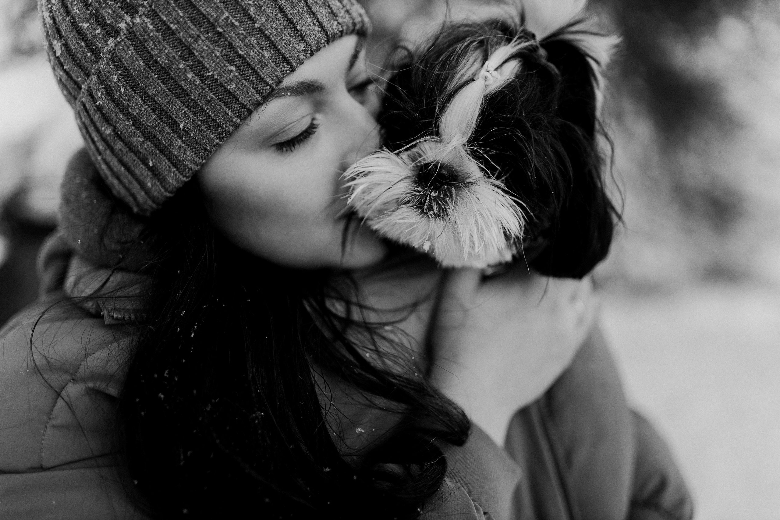 Гусиный пух, жара, декабрь