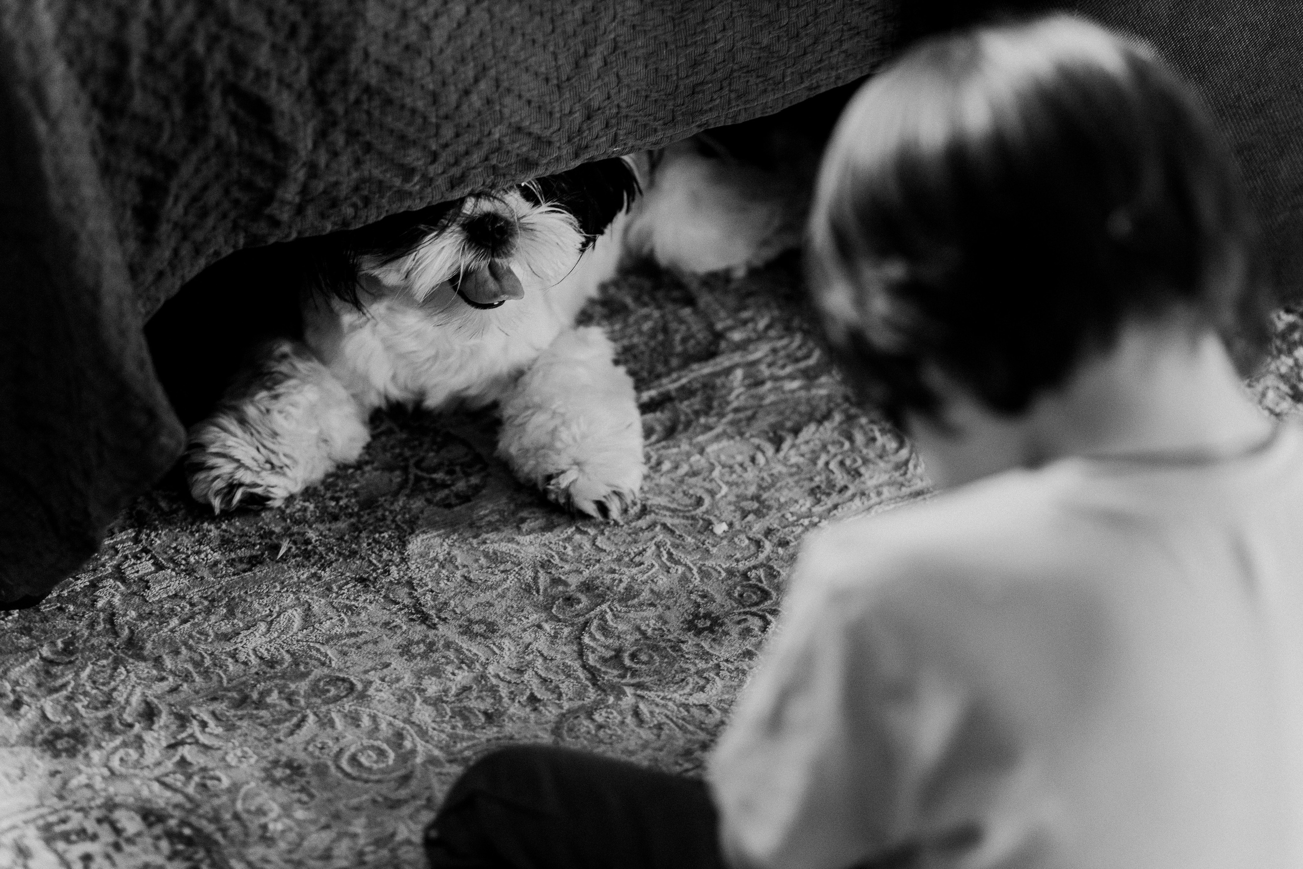 Гусиный пух, жара, декабрь