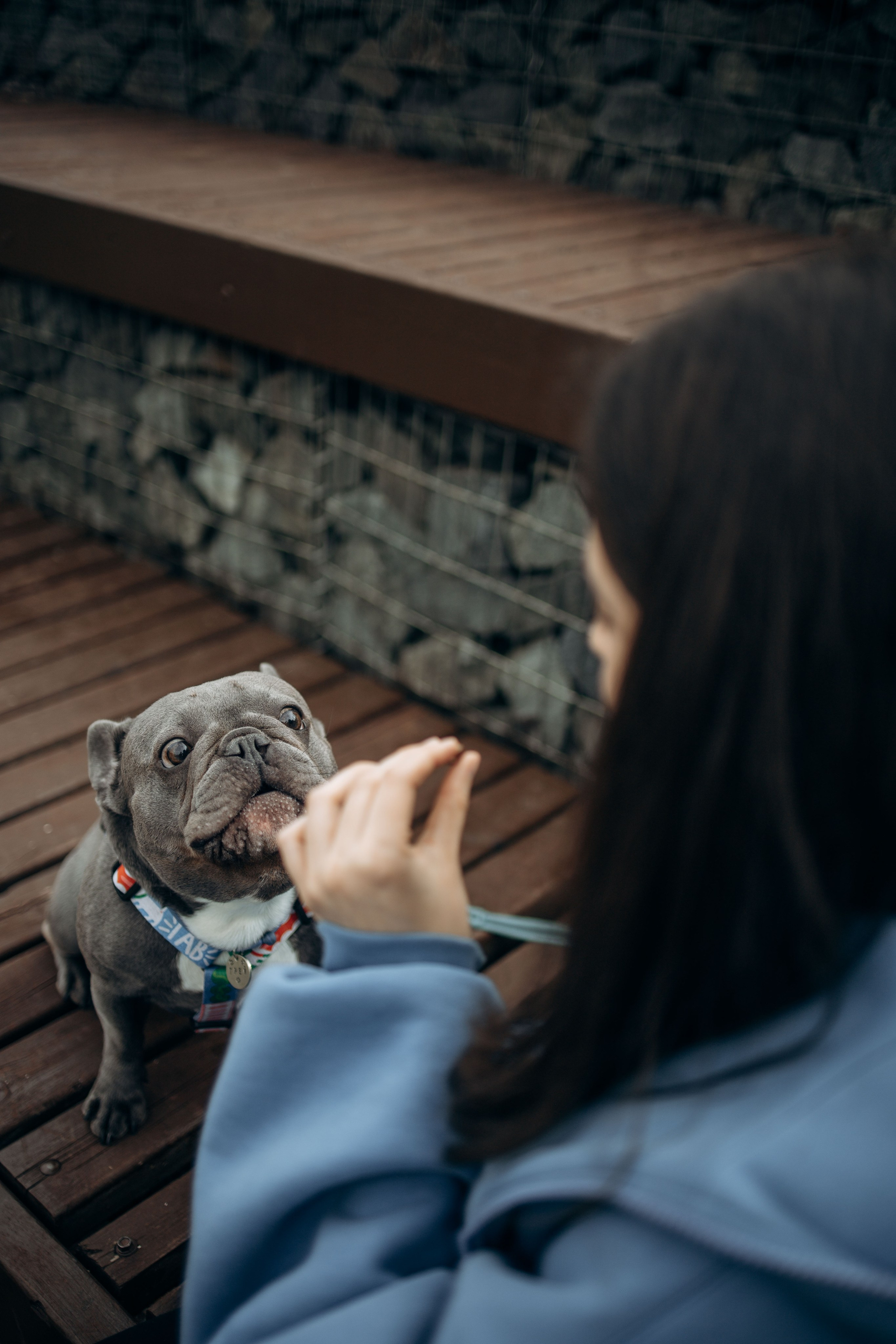 Грей и его семья