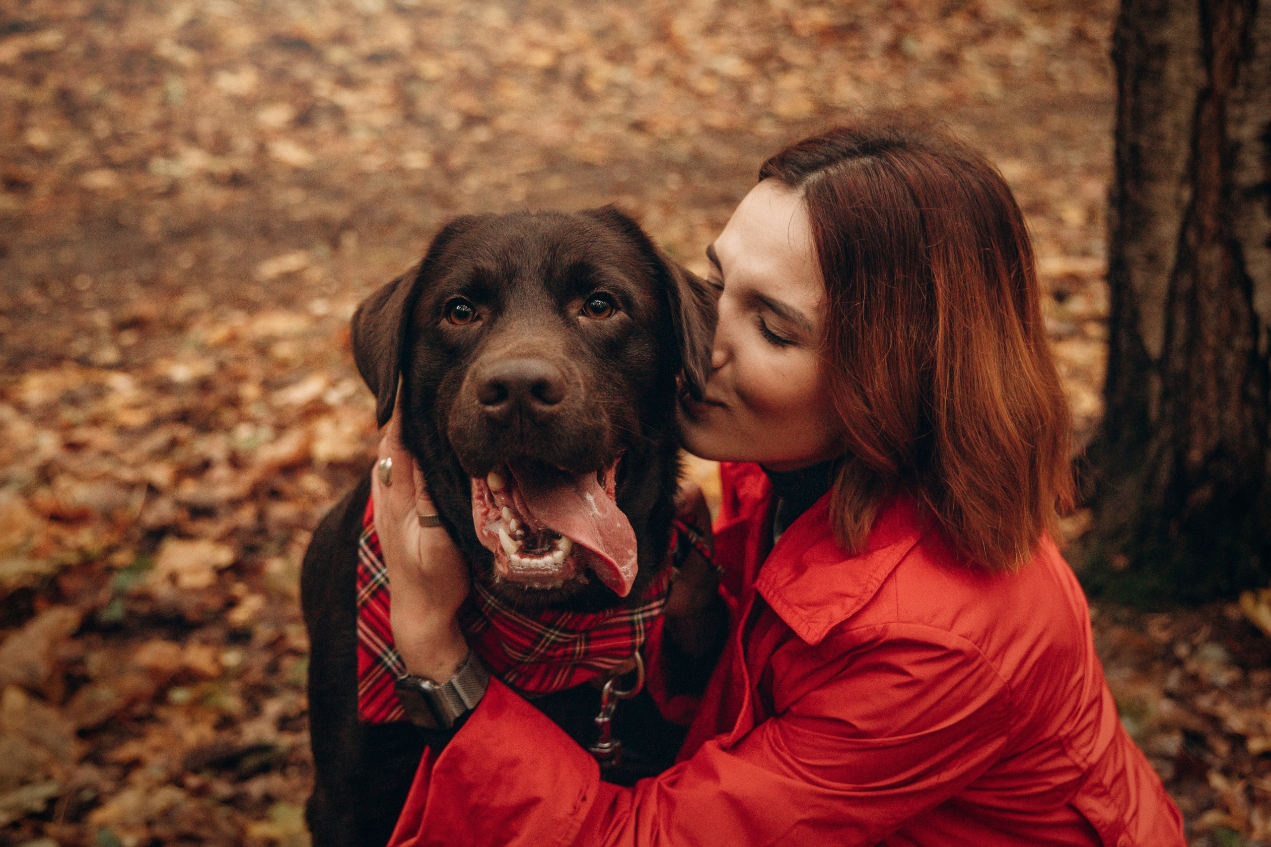 Арина и Сэмми. Фотограф — Анималист | Санкт-Петербург