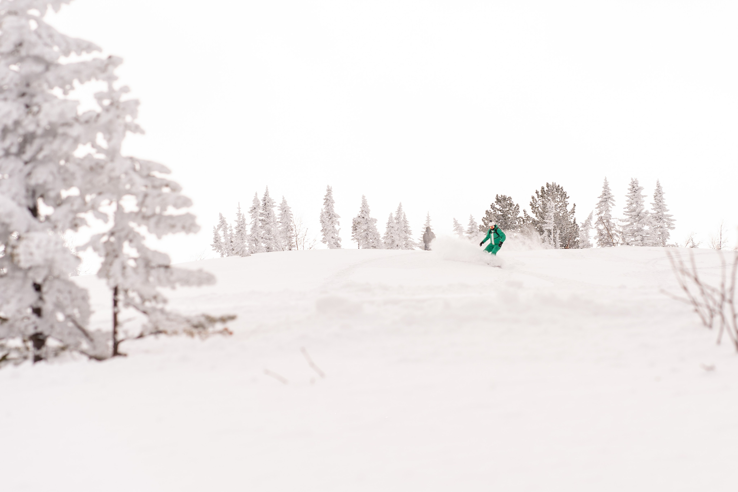 Фрирайд. Анастасия Паршукова — фотограф Шерегеш Новосибирск