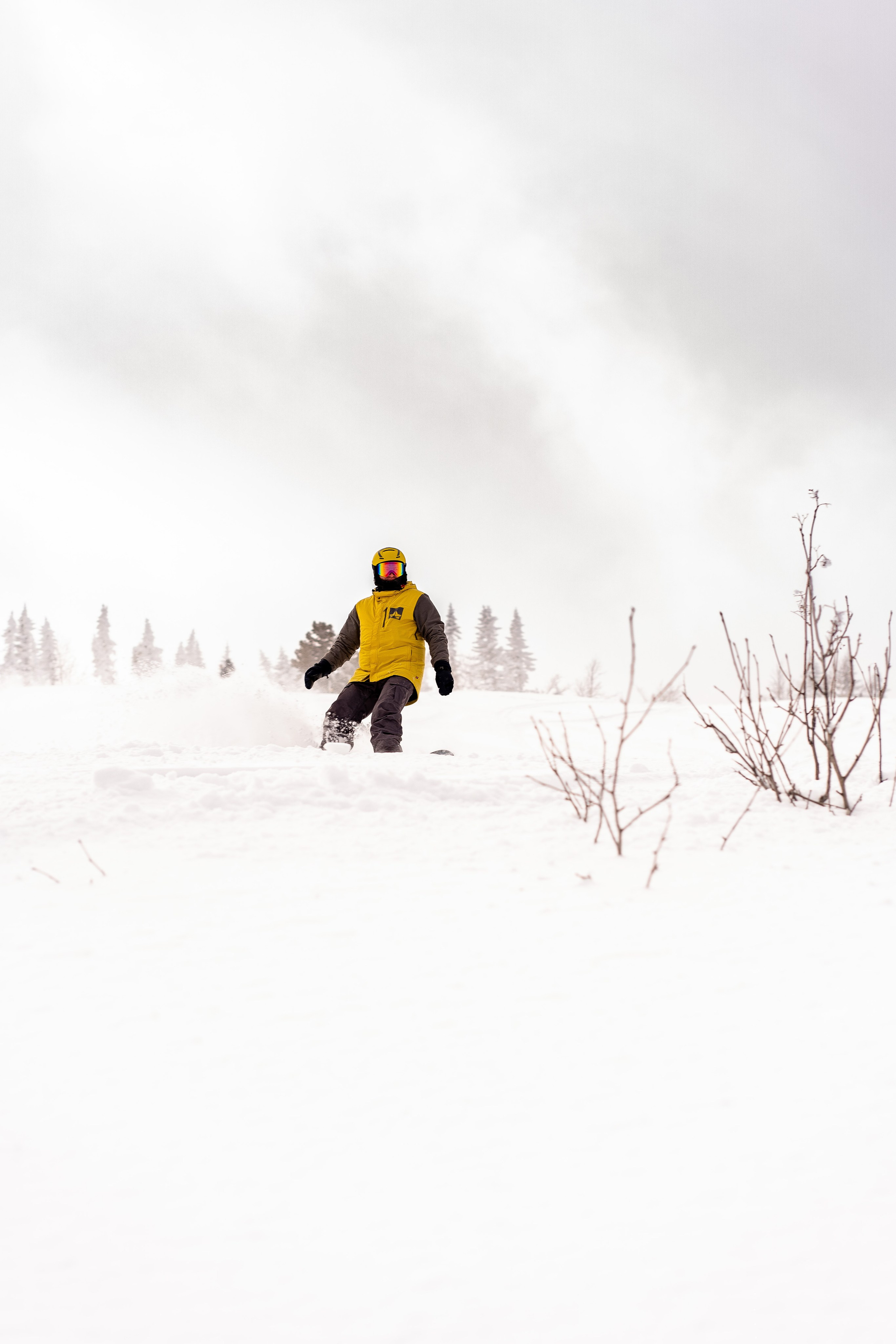 Фрирайд. Анастасия Паршукова — фотограф Шерегеш Новосибирск