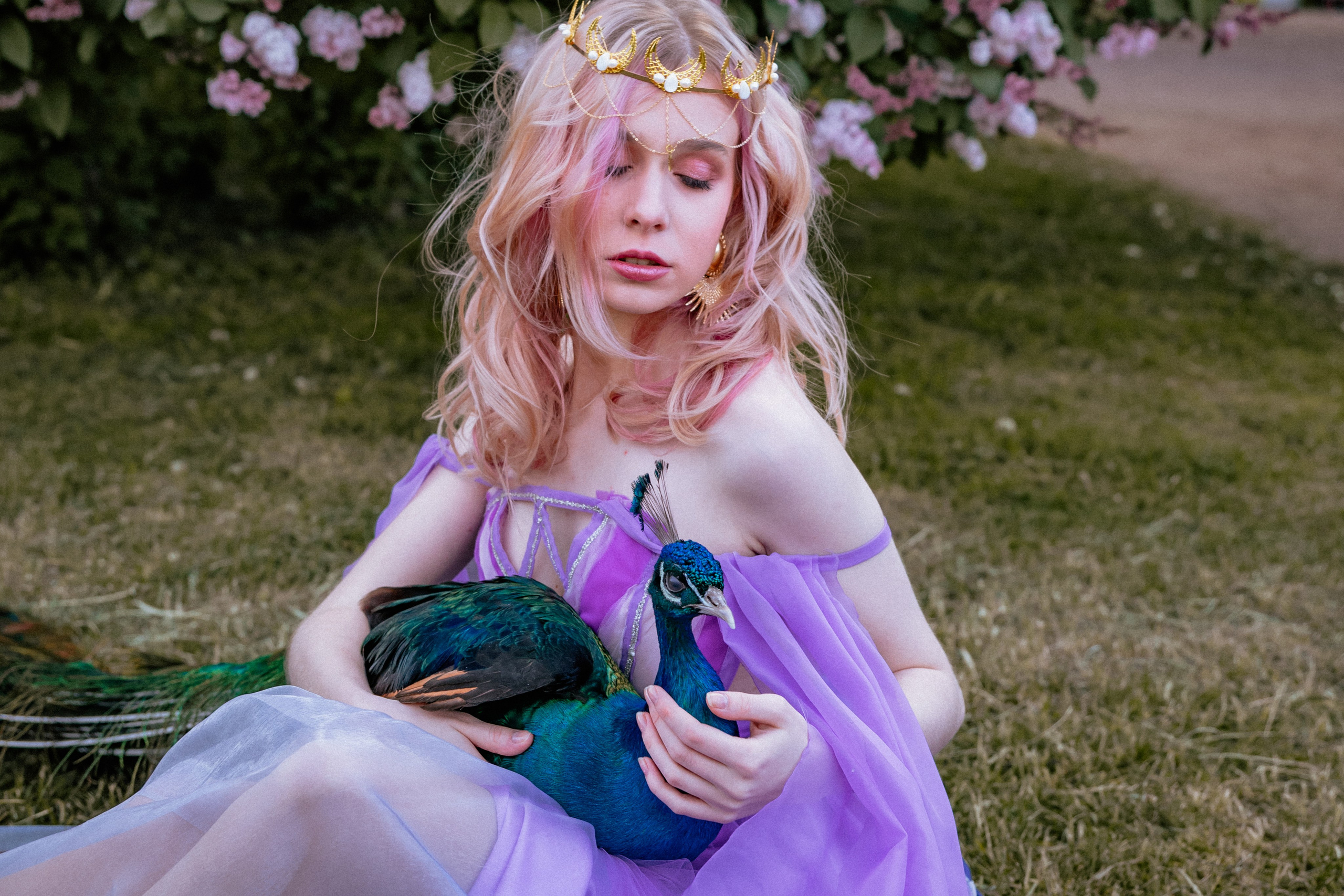 Павлин. Elena Sova — семейный и женский фотограф в Санкт-Петербурге